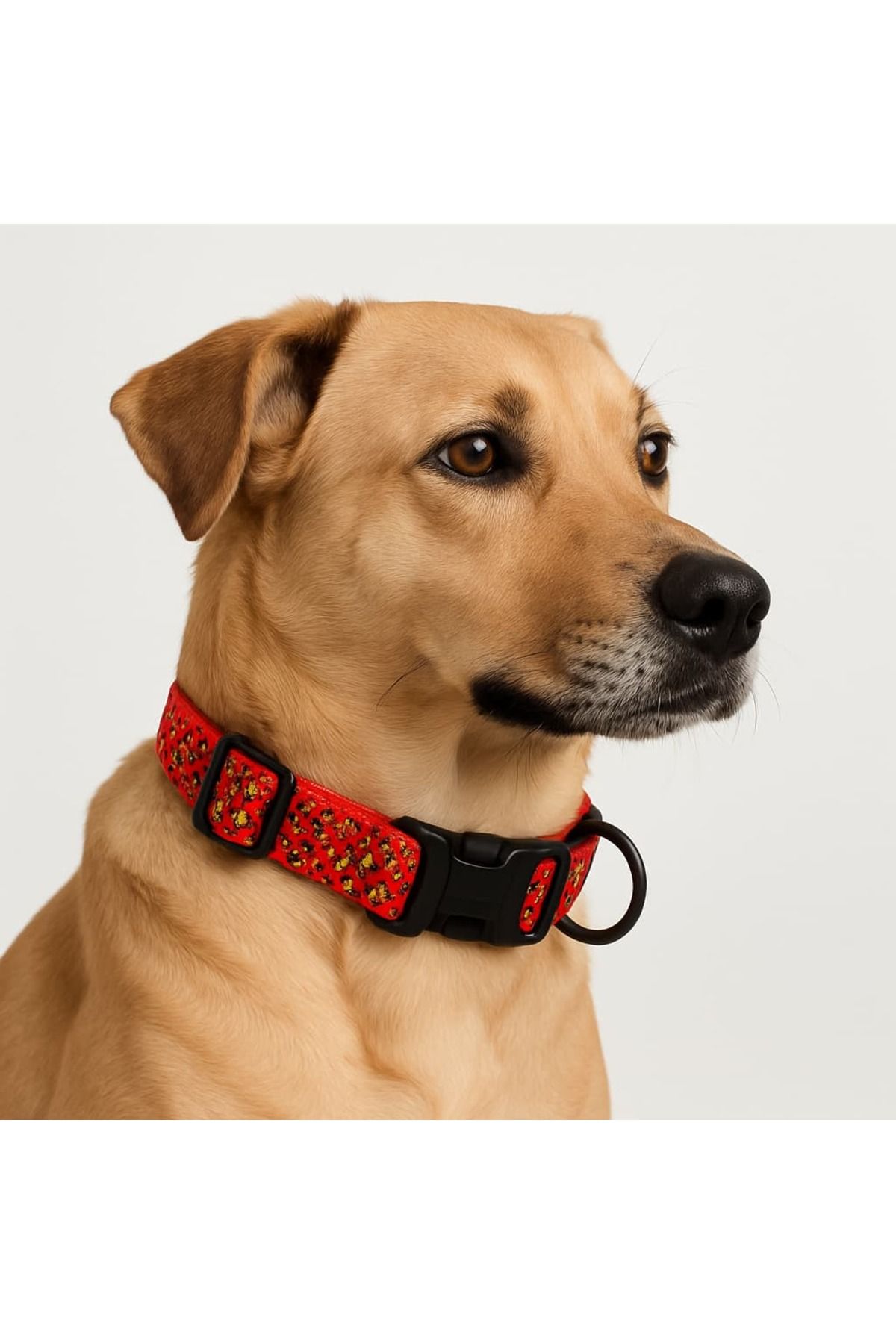 Petesia LED Işıklı Köpek Tasması – Ayarlanabilir ve Suya Dayanıklı
