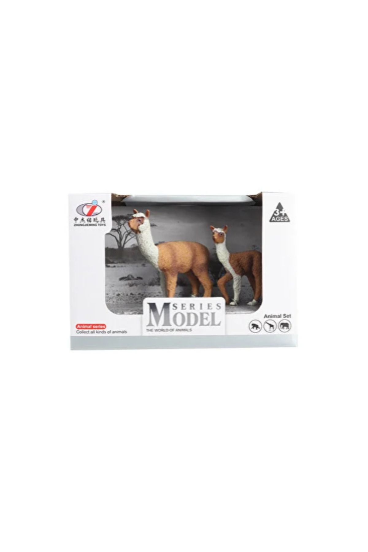 swilex Kutulu Model Lama ve Yavrusu