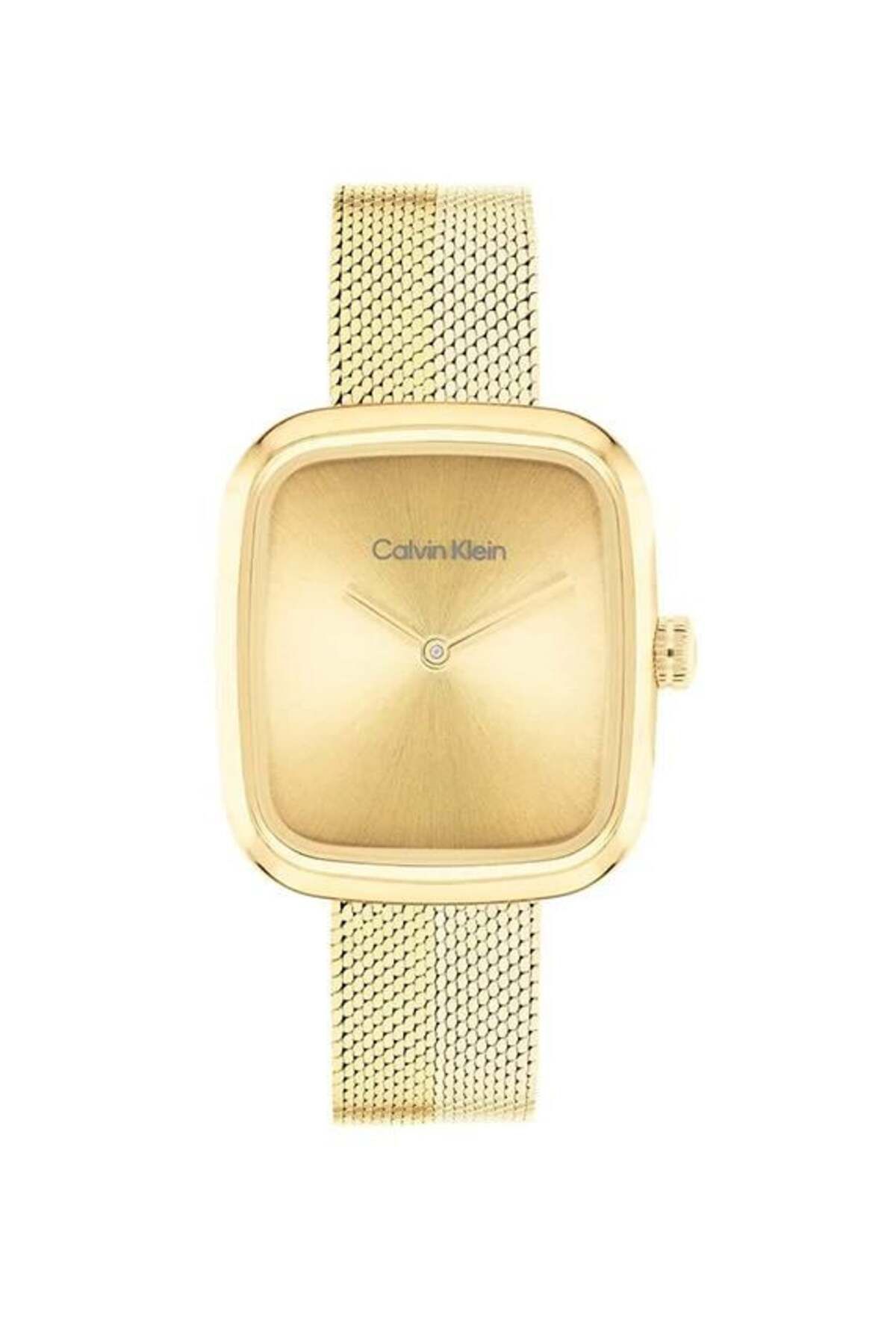 Calvin Klein Ck25100099 Kadın Kol Saati