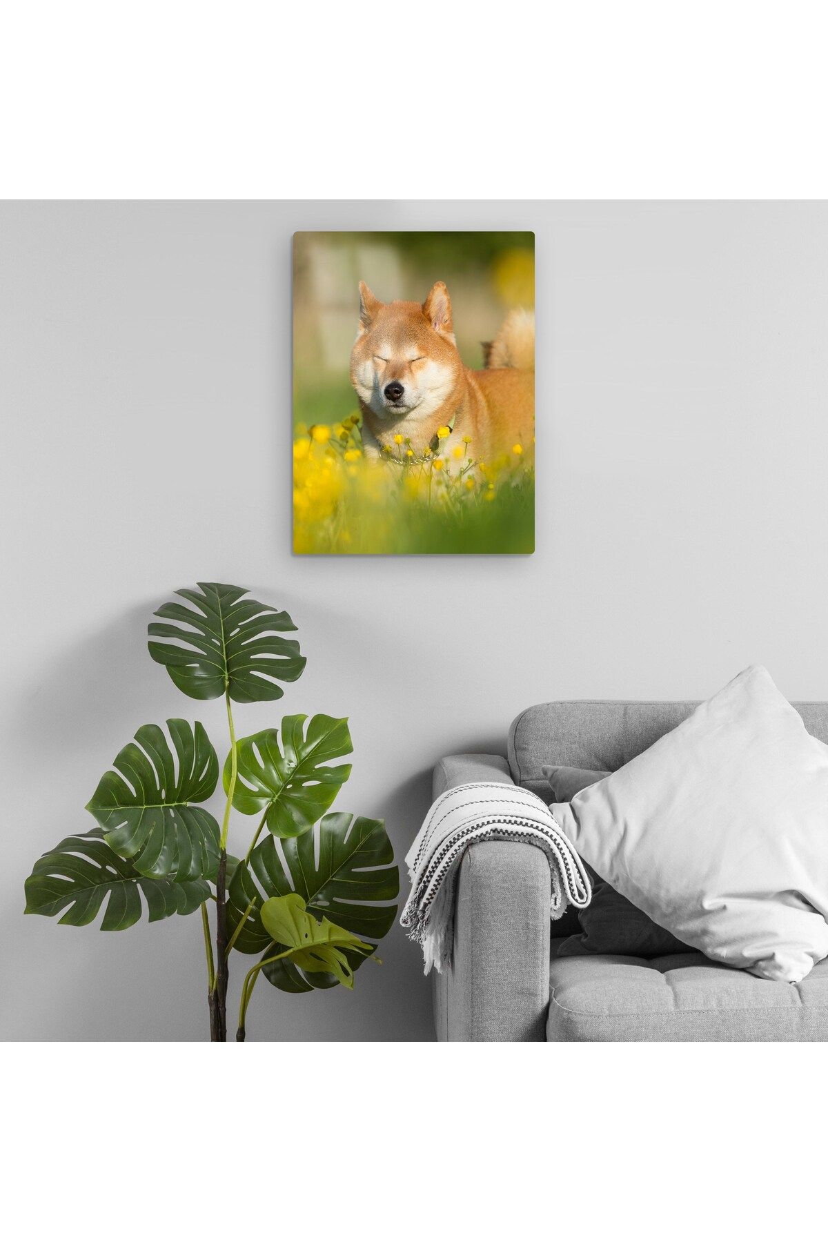 Pixxa Shiba Inu - Köpek Metal Tablo Model 3