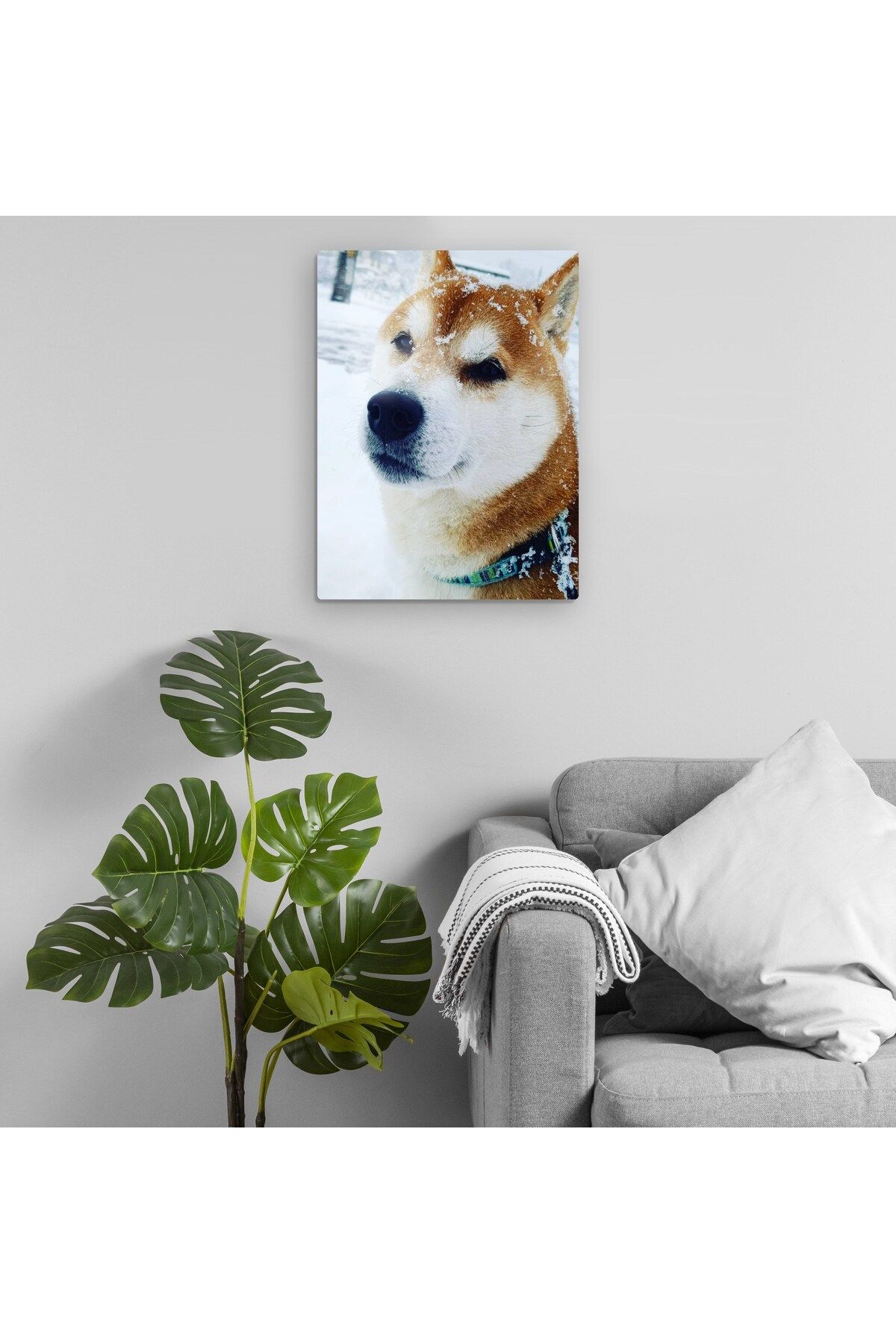 Pixxa Shiba Inu - Köpek Metal Tablo Model 1