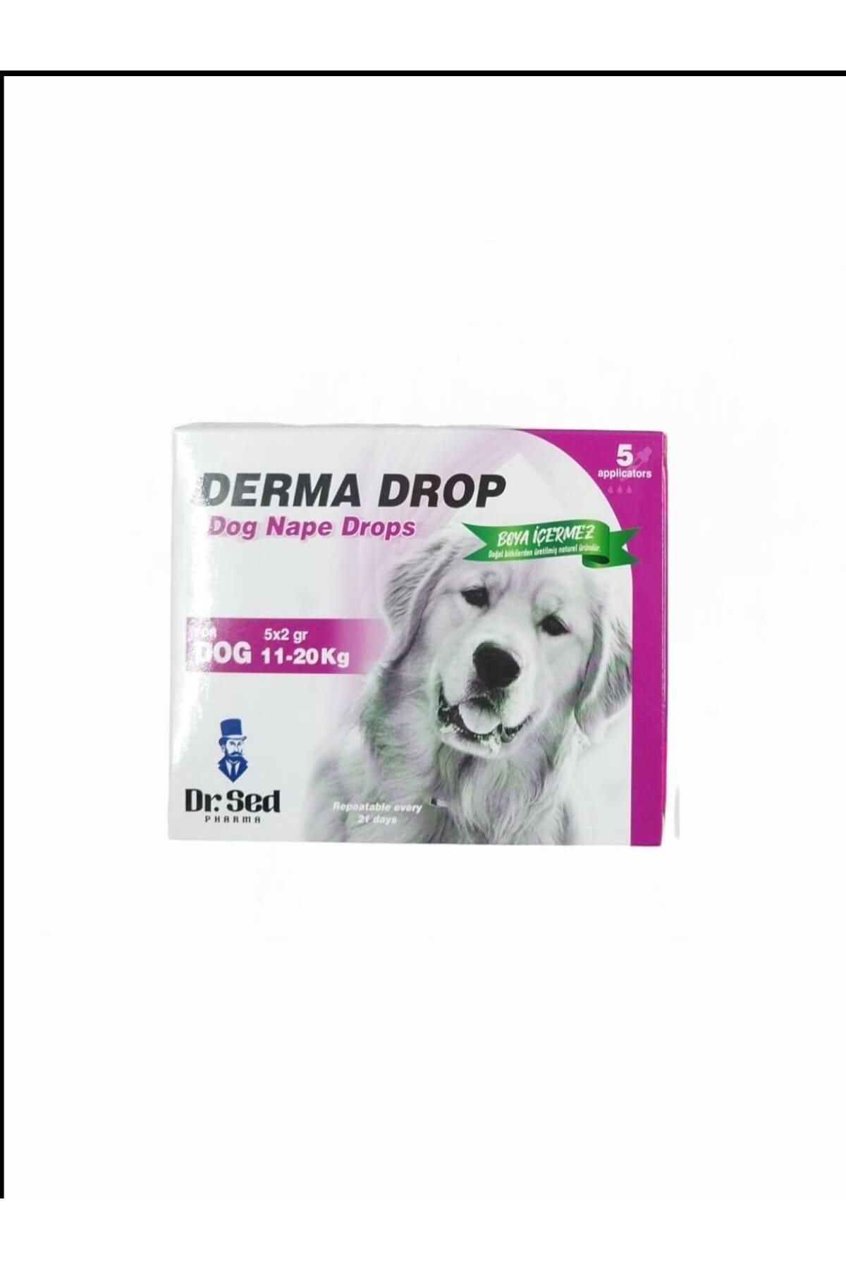 Dr.Sed 11–20 kg Arasındaki Köpekler İçin Bitkisel Bakım Damlaları – 5 x 2 ml Şase