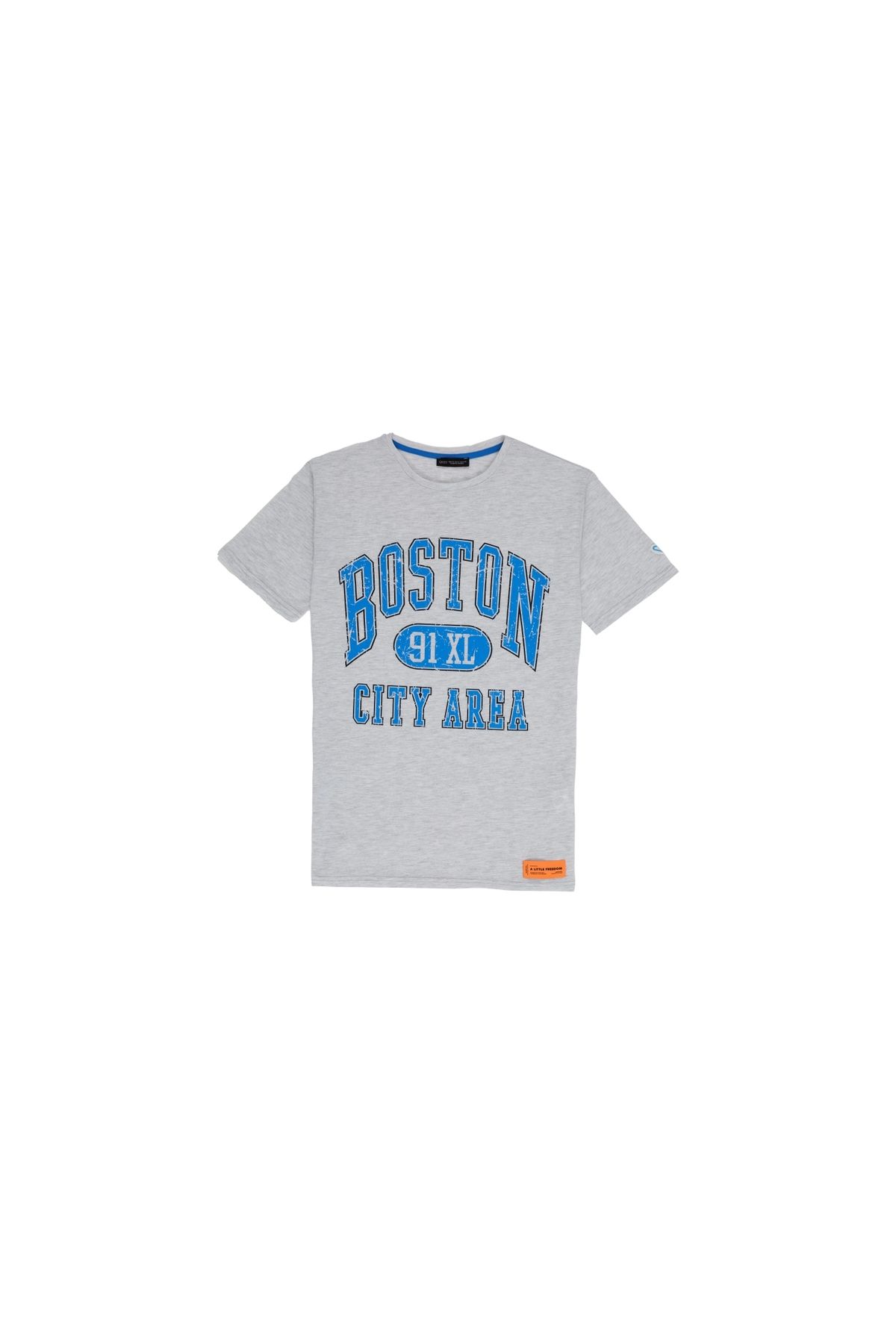 OllaCollection Baskı Detaylı T-shirt Gri