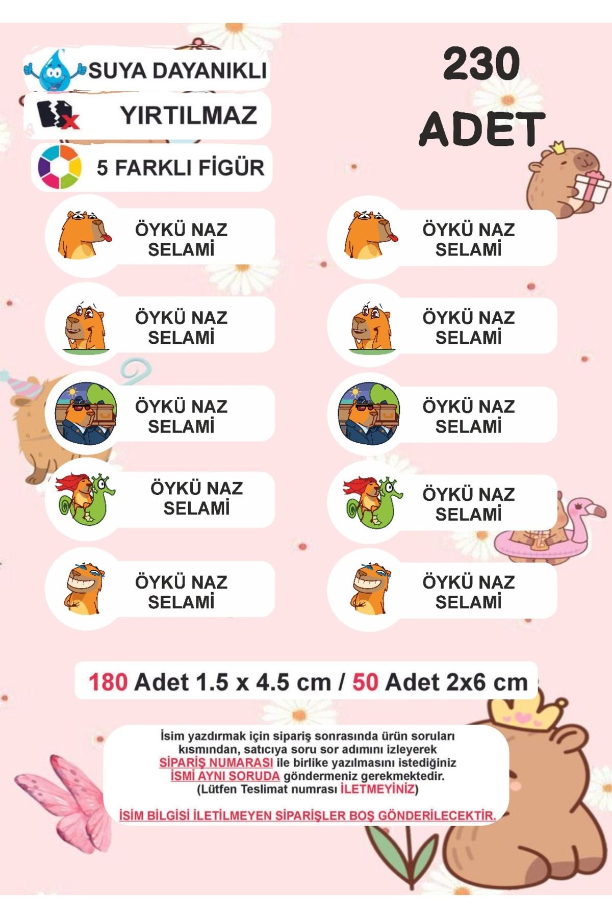 practical house Premium Kalite 230 Adet Kişiye Özel Isimli Defter Kalem Okul Etiketi cappy barra