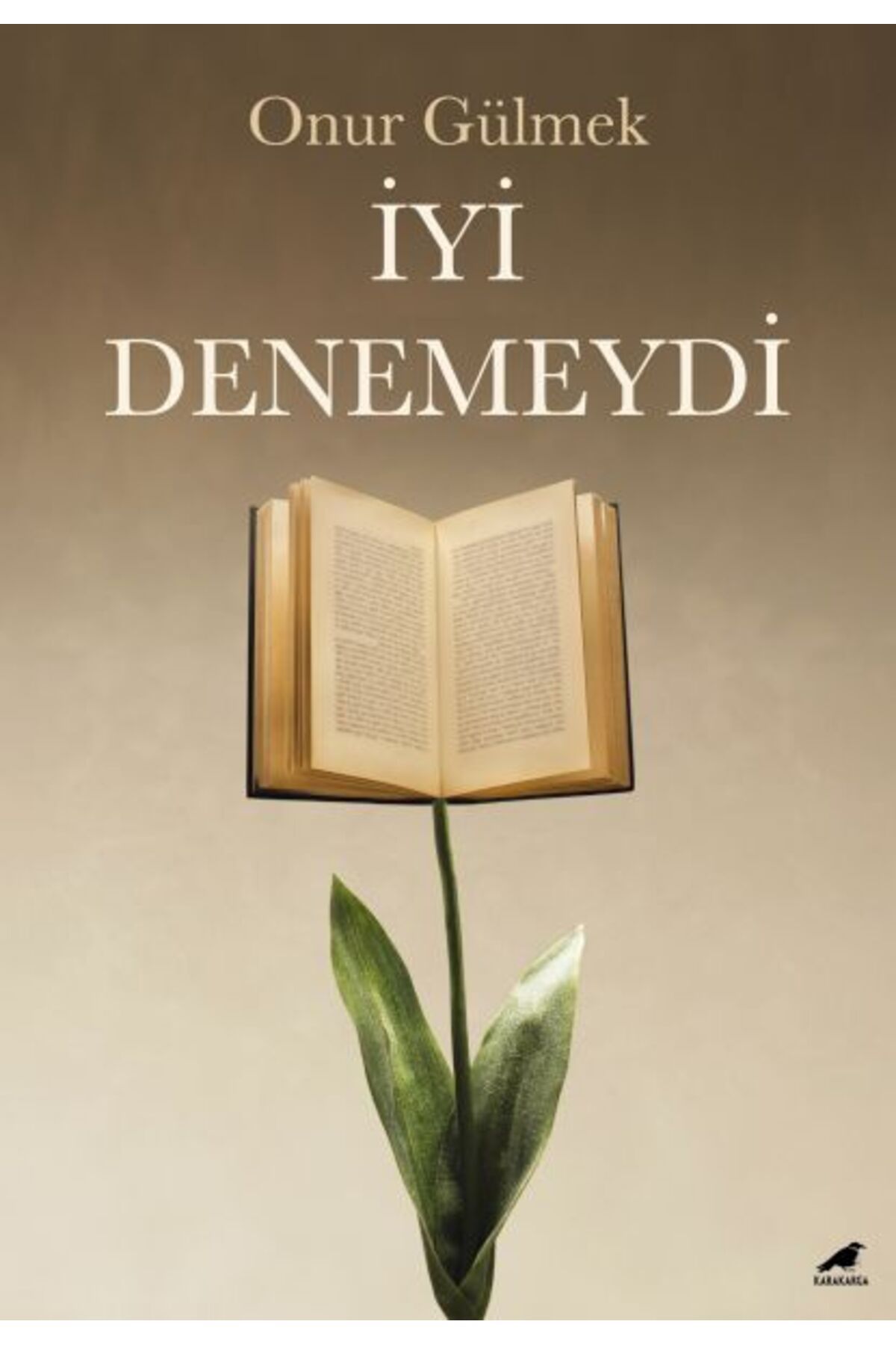 Kapı Yayınları İyi Denemeydi