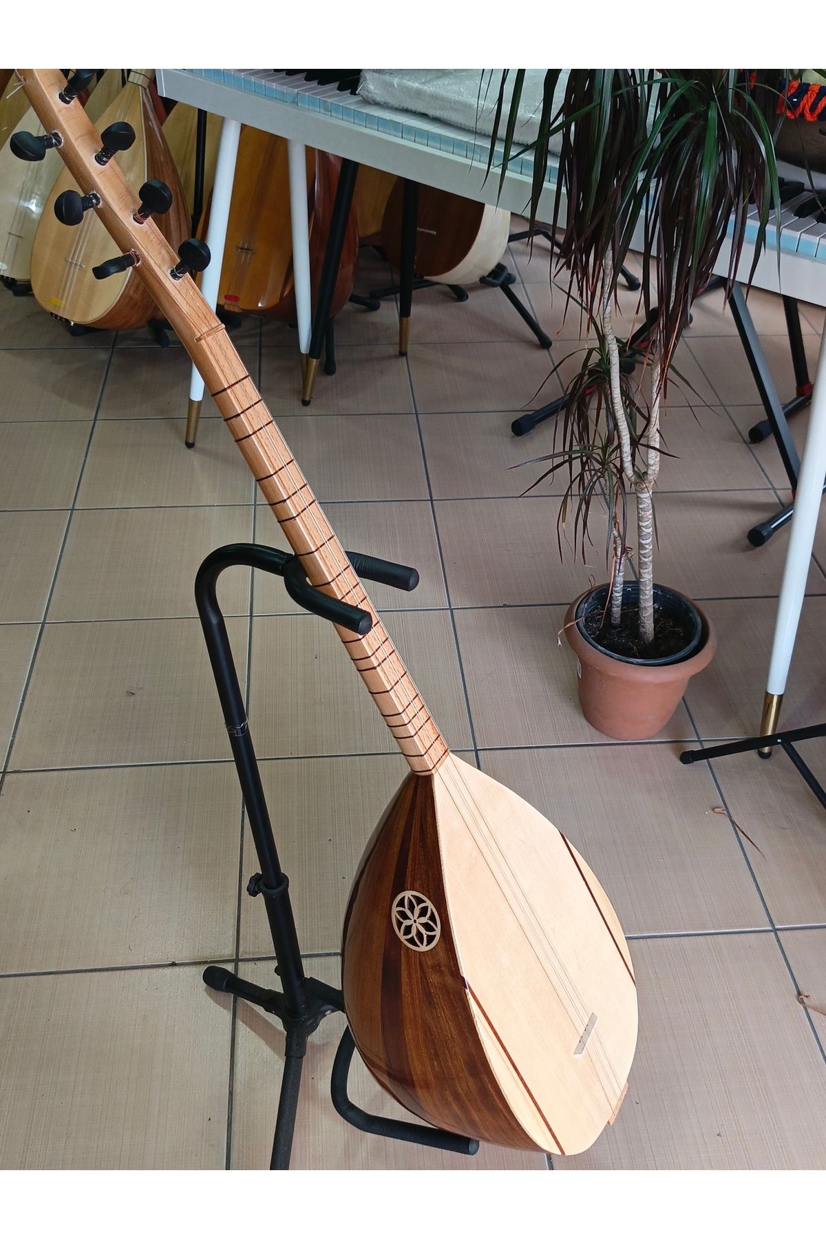 Bircanmüzik Karadut Ağacı Kısa Sap Bağlama (kılıf+yedek Tel+mızrap hediye)