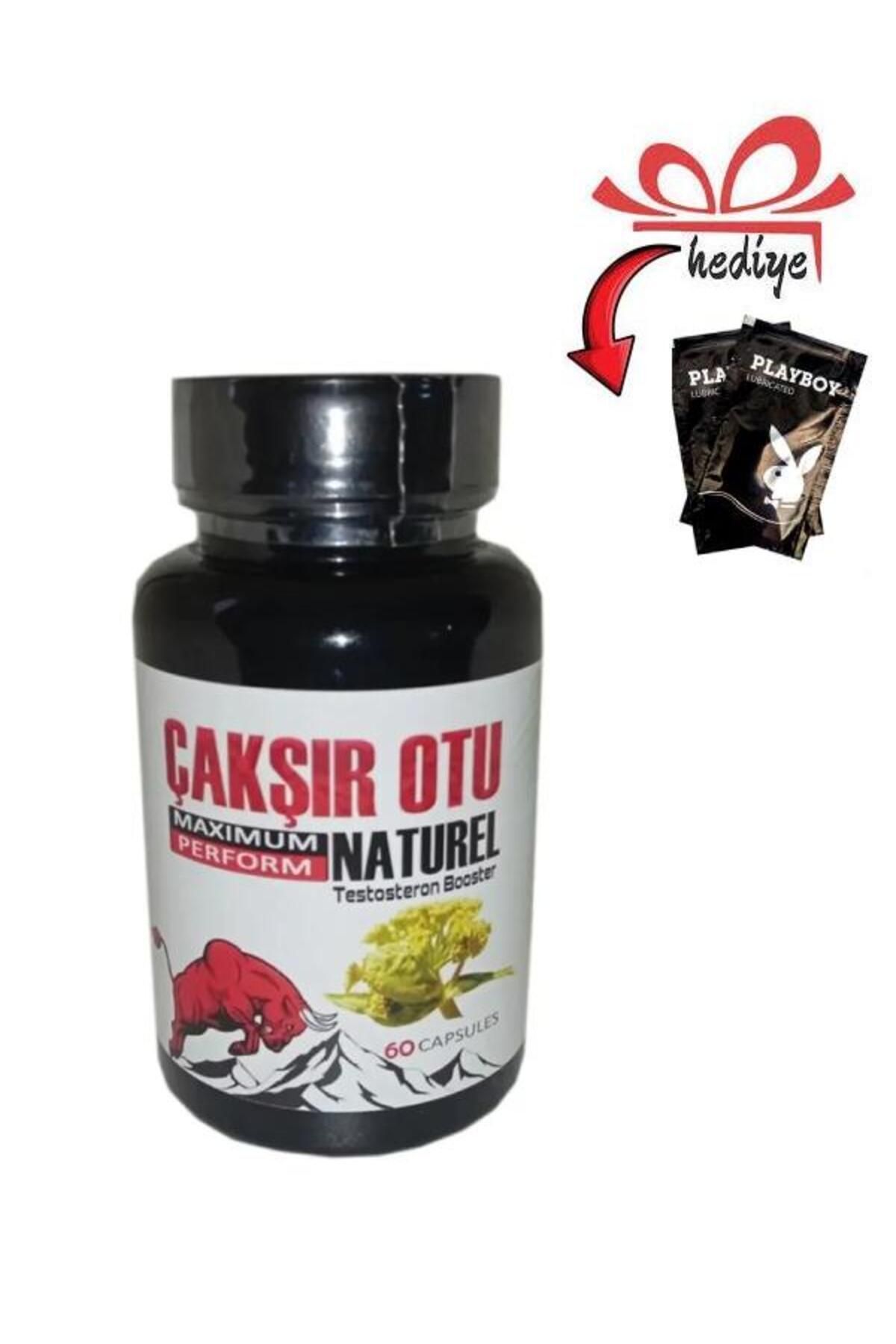 X-One Çakşır Otu Natural Booster Erkeklere Sertlik Takviyesi 60'lı + Kayganlaştırıcı Jelle