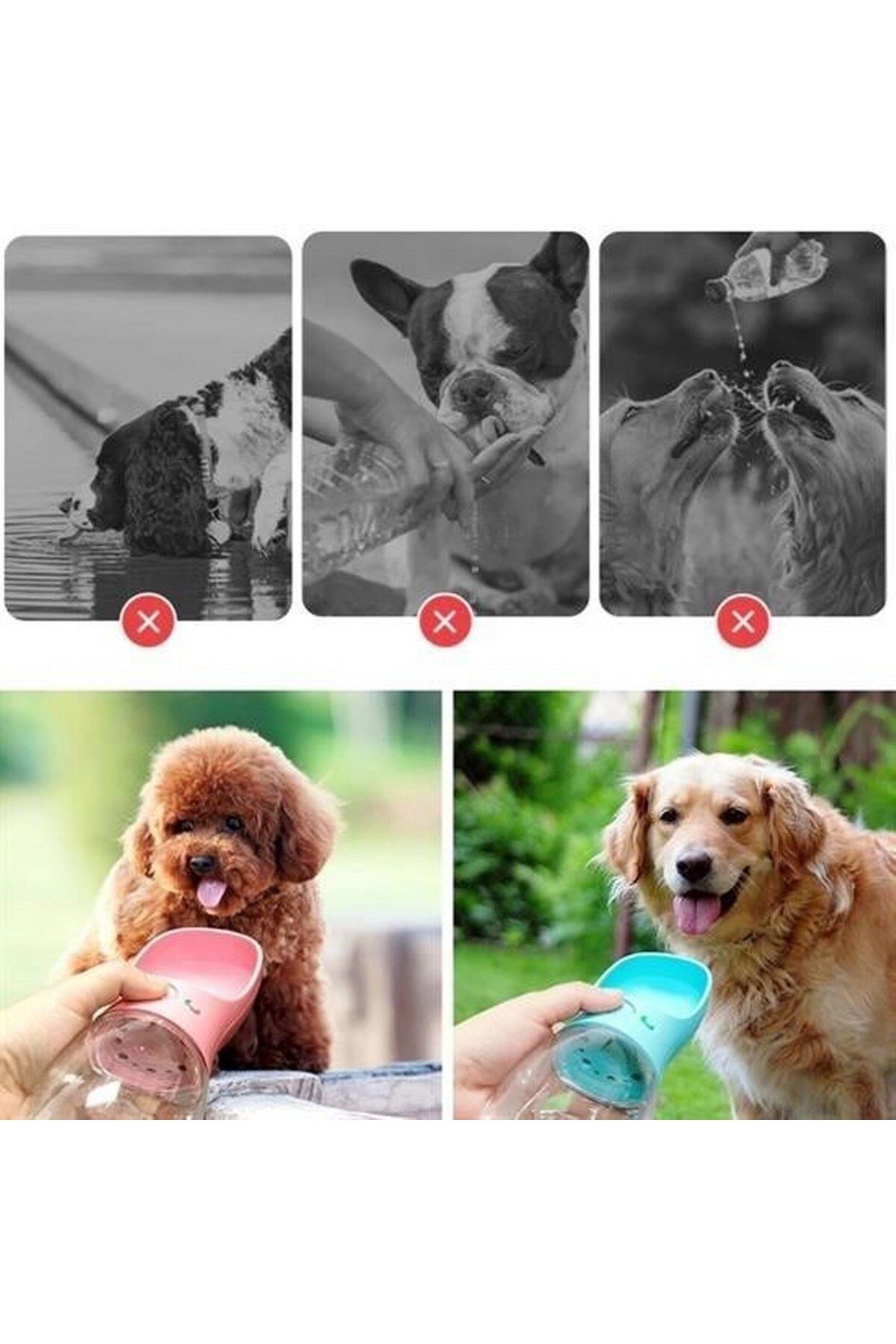 tedaks-350 ml Pet Waterer with Portable Button 3