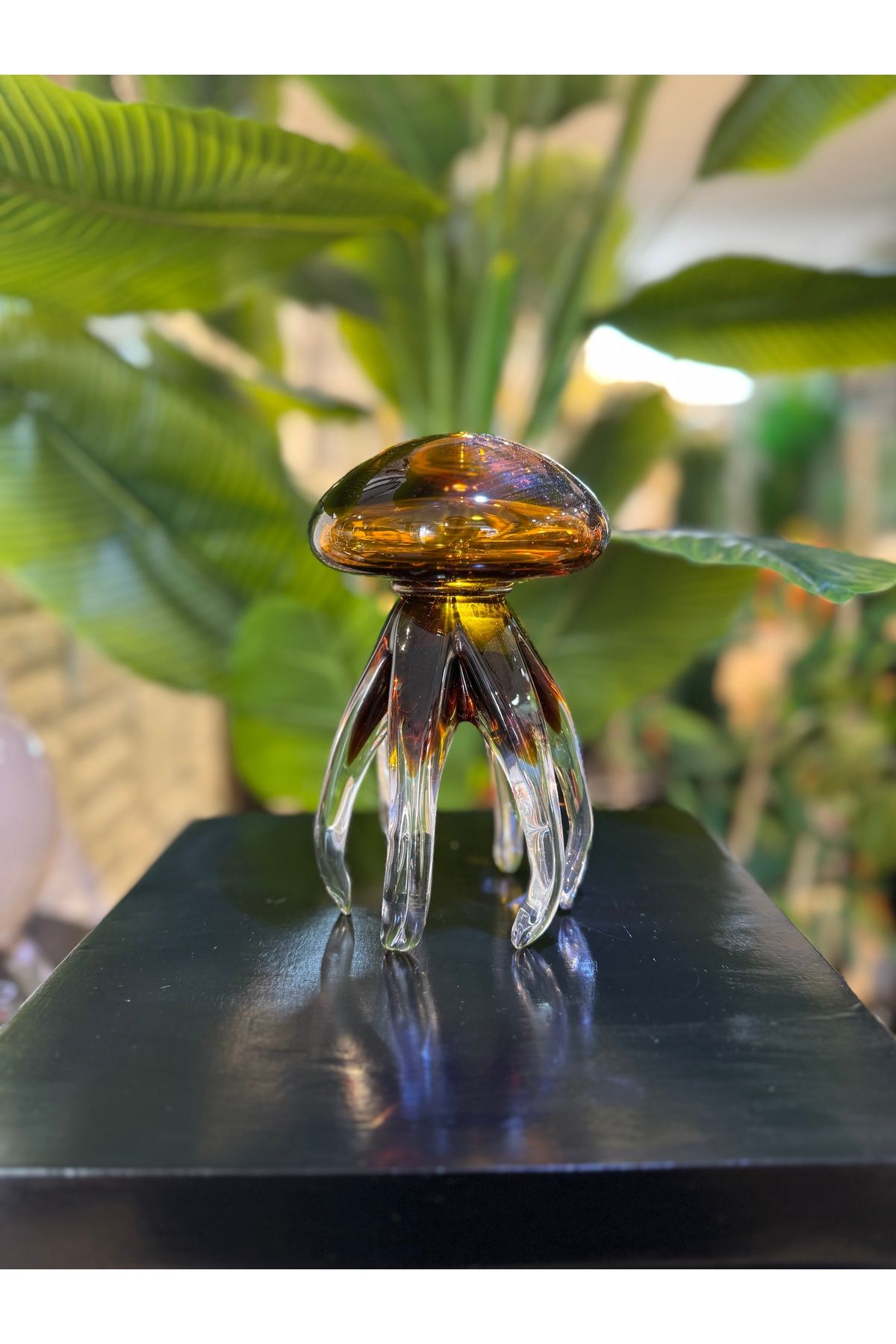 zepce design Deniz anası biblo