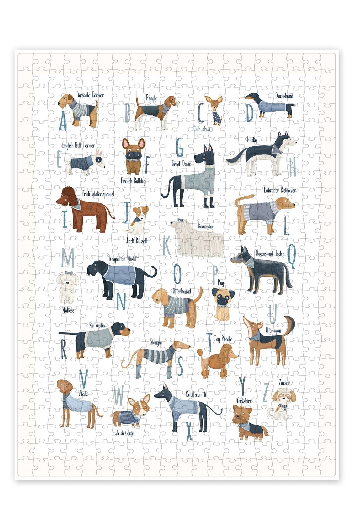 Jeronkarji Mavi Kazaklı Köpeklerin Alfabesi 500 Parça Puzzle Yapboz Çocuklar için Neşeli Hayvan Temalı