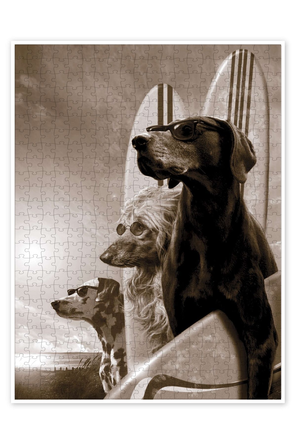 Jeronkarji Değişiklikler 500 Parça Puzzle Yapboz Kedi Köpek Temalı Doğa ve Orman Hayvanları