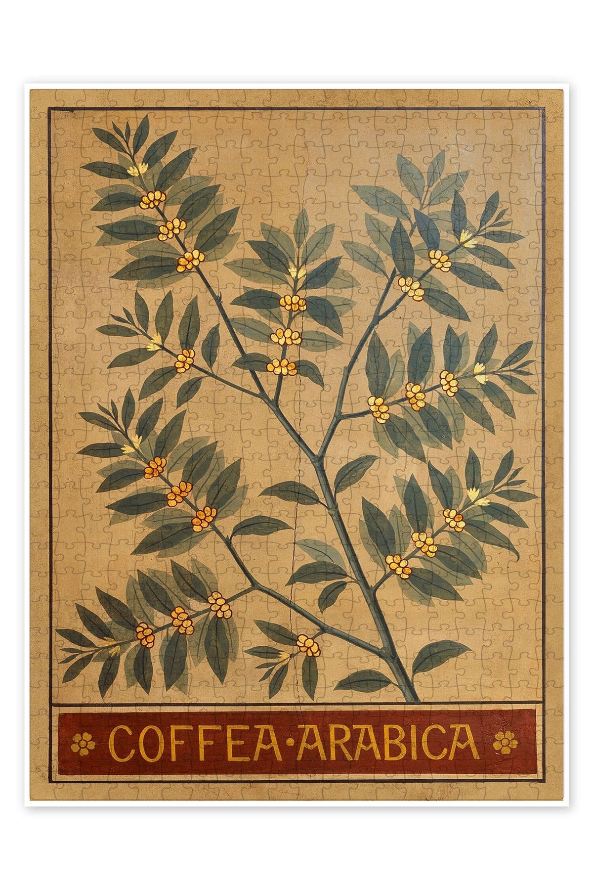 Jeronkarji Arabica Kahve 500 Parça Puzzle Yapboz Mutfak Temalı Yetişkinler için