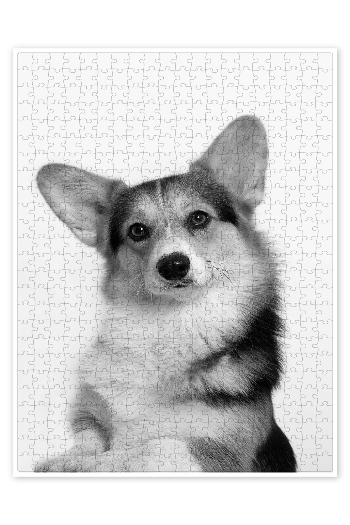 Jeronkarji Corgi II 500 Parça Puzzle Yapboz Kedi Köpek Temalı Doğa ve Orman Hayvanları