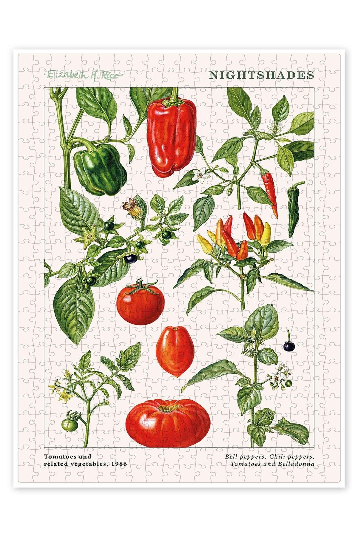 Jeronkarji Domatesler ve patlıcangiller, 1986 500 Parça Puzzle Yapboz Mutfak Temalı Yetişkinler için