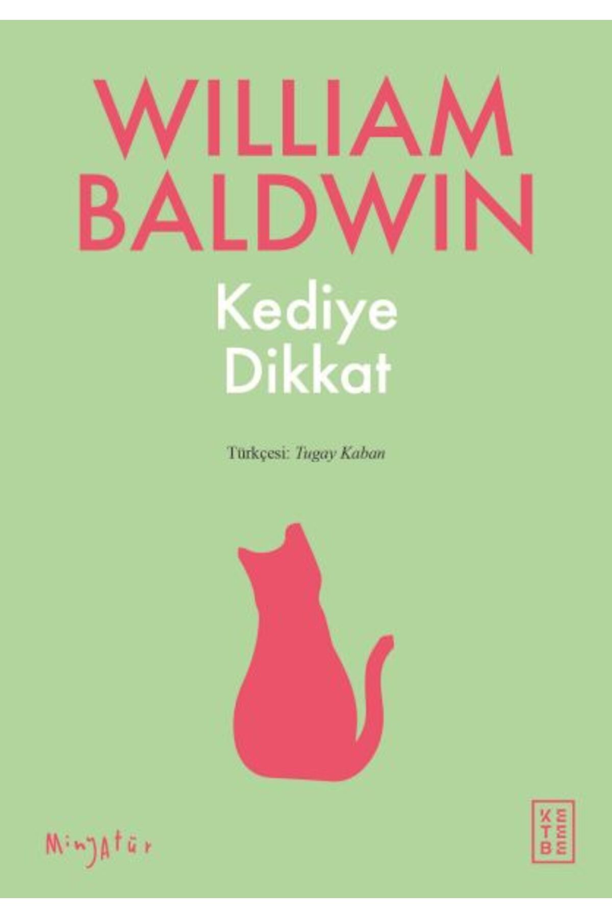 Ketebe Yayınları Kediye Dikkat