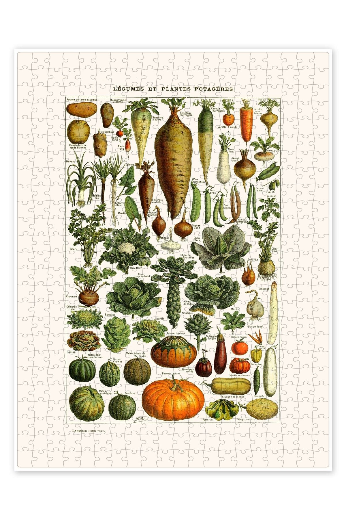 Jeronkarji Sebzeler vintage (Fransızca) 500 Parça Puzzle Yapboz Mutfak Temalı Yetişkinler için