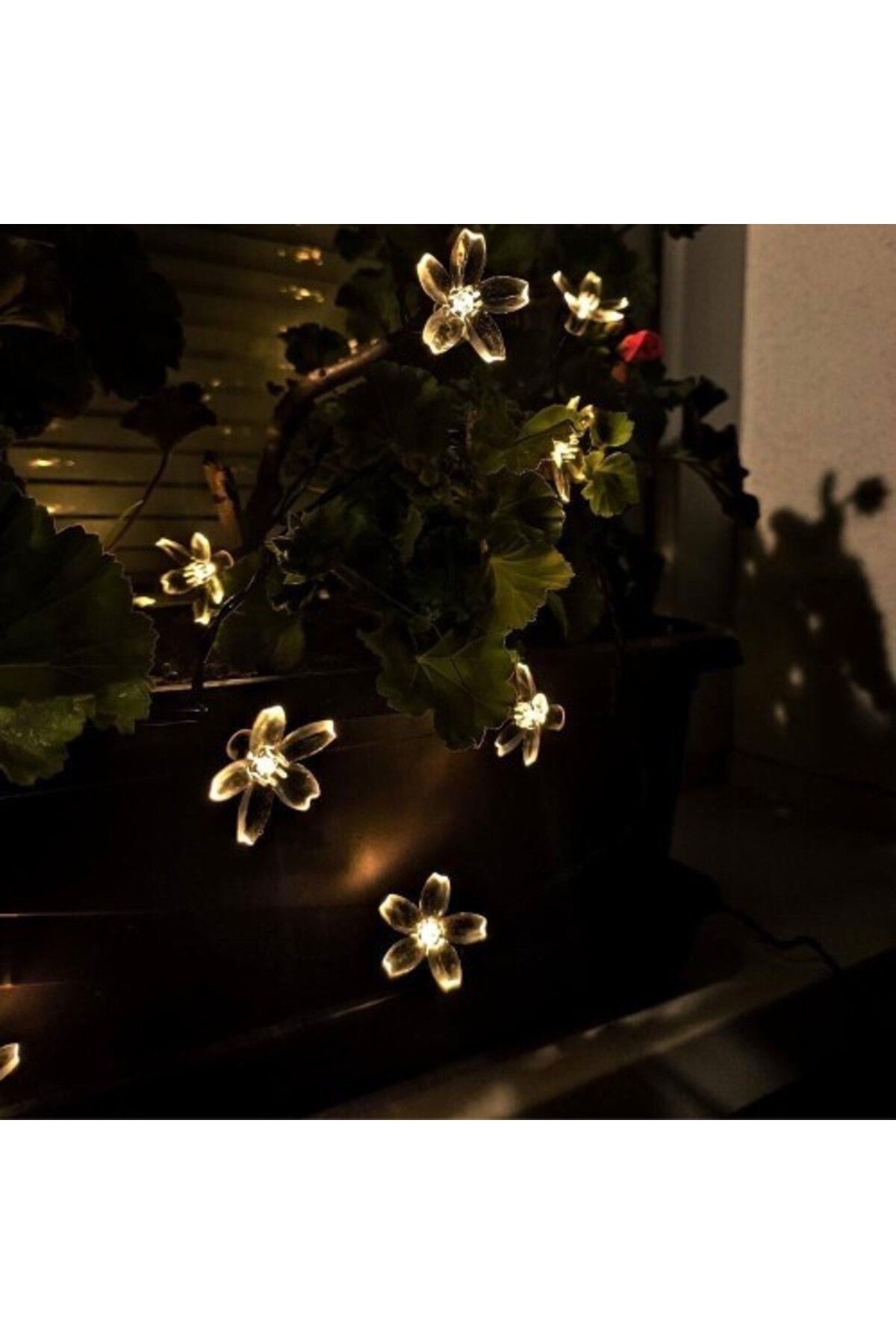 sesengo Solar 5m 50 Led Papatya Gün Işığı 8 Fonksiyonlu