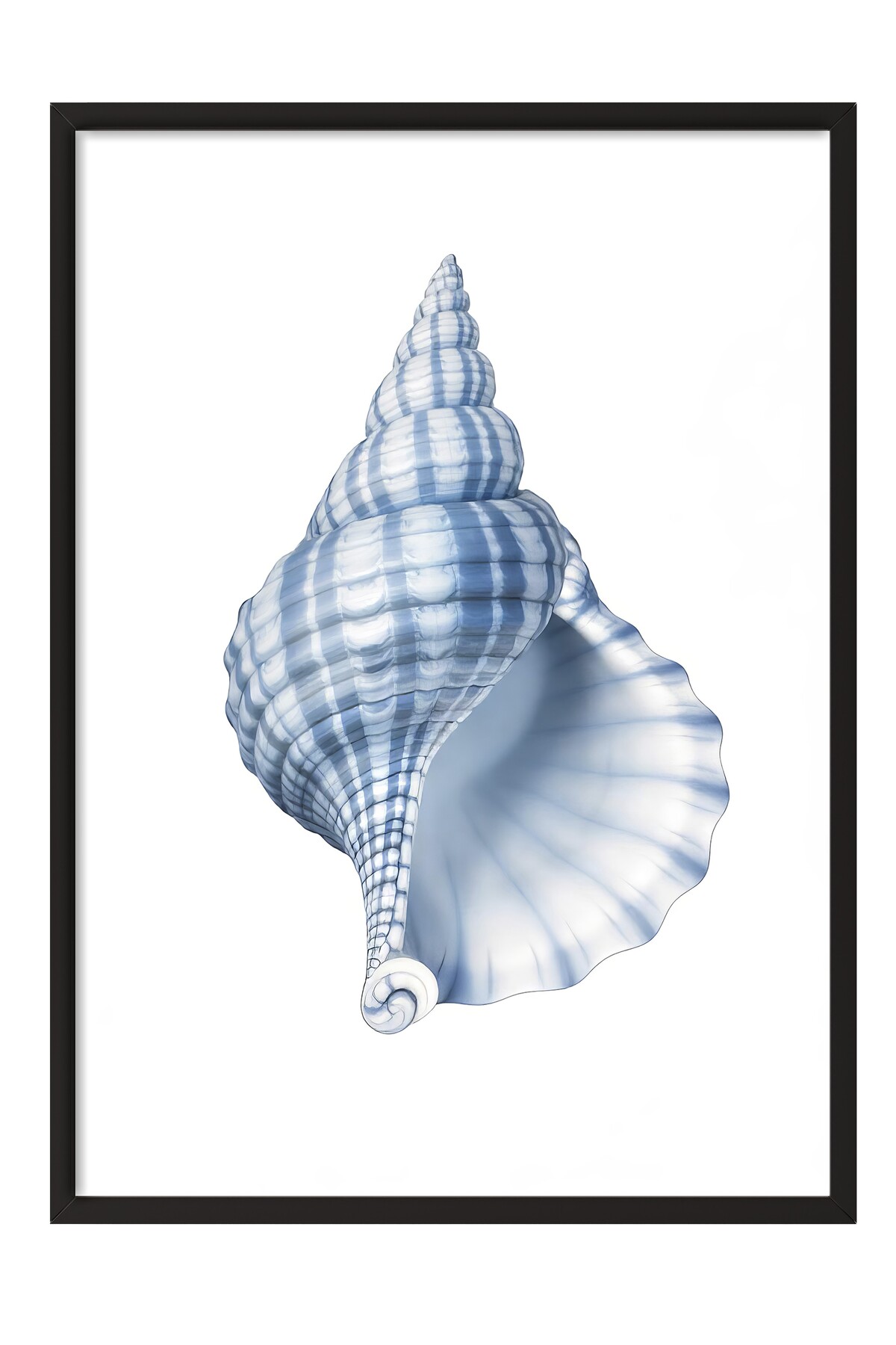 Black Framed Painting, Blue Shell, Illustration, Blue Color Poster, 2025 Summer Selection, NO:10974