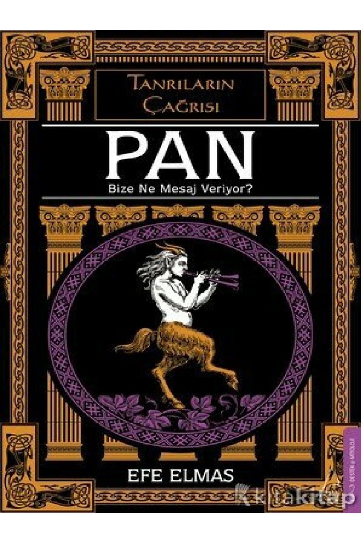 Destek Yayınları Efe Elmas - Pan Bize Ne Mesaj Veriyor? ( ÜCRETSİZ KARGO )