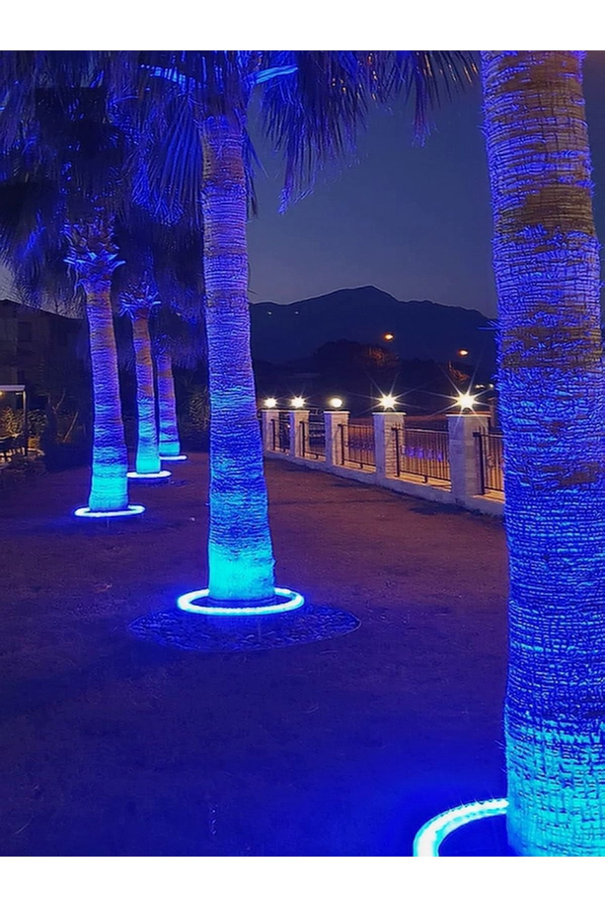 DOGRUP Palmiye Ağaç Aydınlatma Çember Dairesel Led Yuvarlak Aydınlatma Armatür IP68 50cm