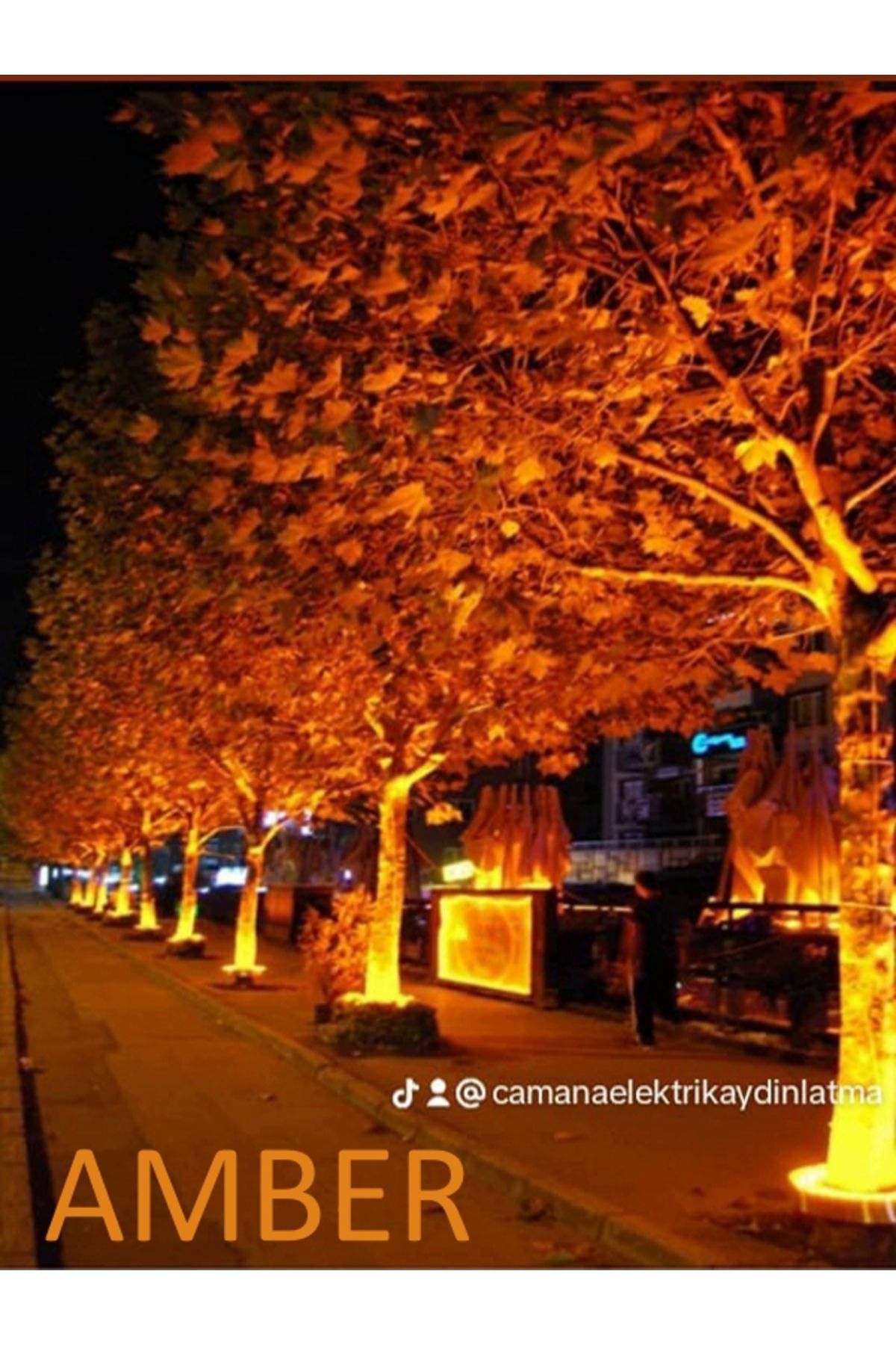 DOGRUP Palmiye Ağaç Aydınlatma Çember Dairesel Led Yuvarlak Aydınlatma Armatür IP68 50cm