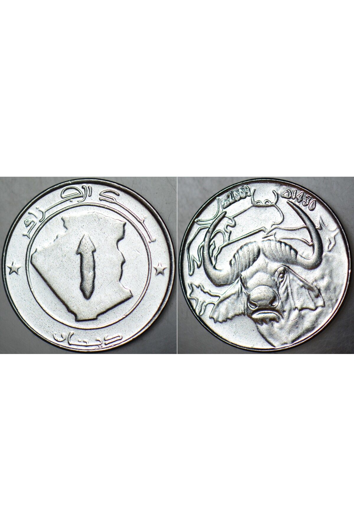 Banknoting CEZAYİR 1 DİNAR 2009.