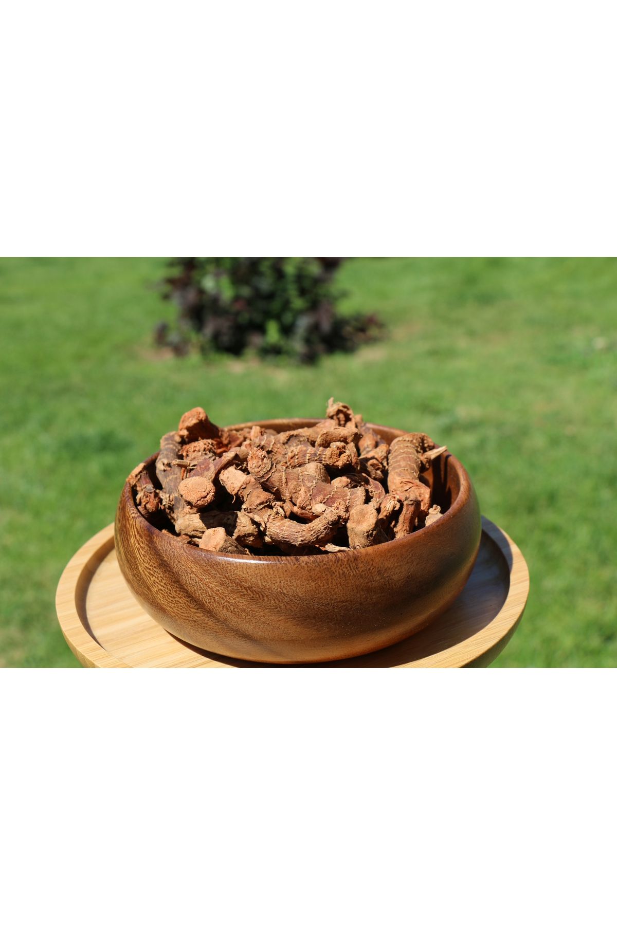 Natura Şifa Doğal Havlıcan Kök 500 gr