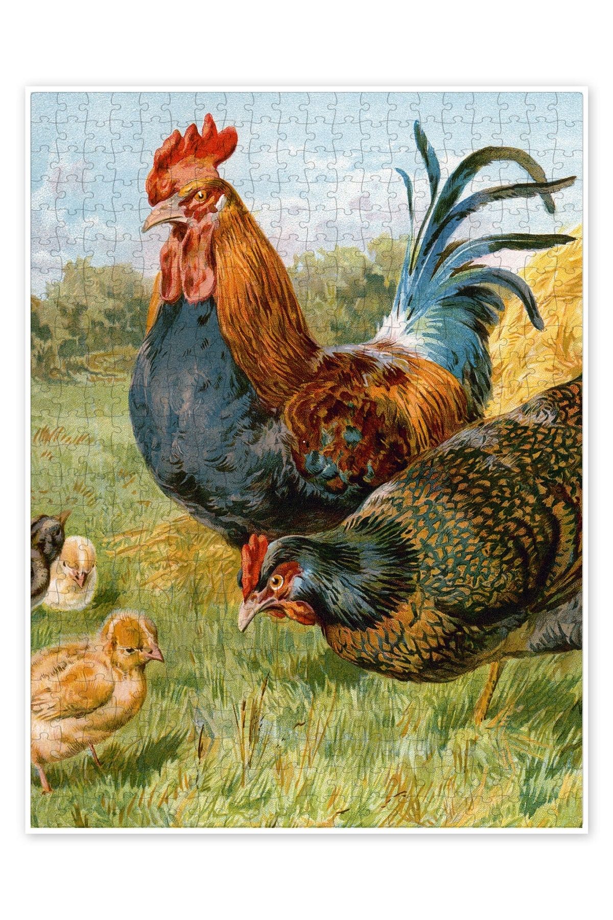 Jeronkarji Gururlu ebeveynler 500 Parça Puzzle Yapboz Kedi Köpek Temalı Doğa ve Orman Hayvanları