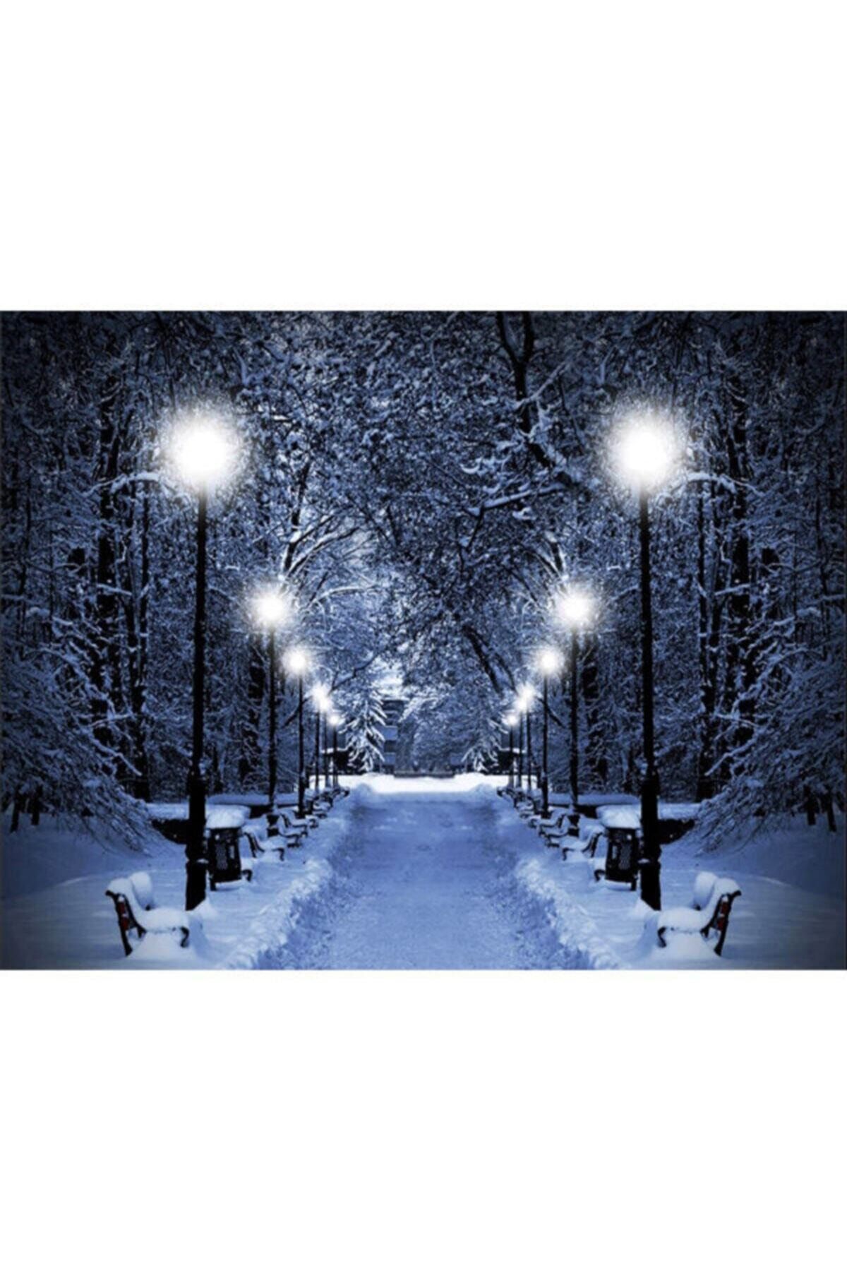 binbirçeşit Işıklı Led Kanvas Tablo 60x90 Cm Karlı Yol