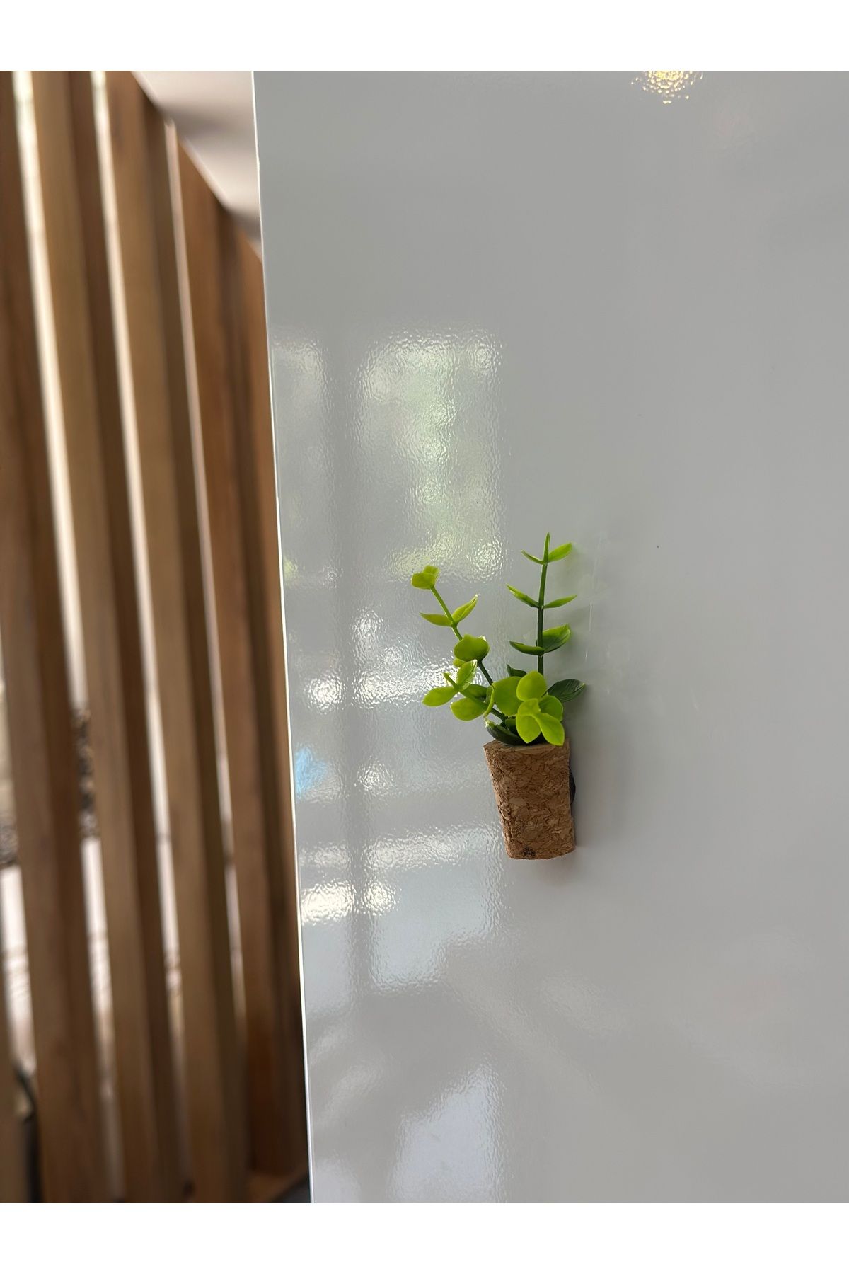 Plantarrium Design Mantar Magnet- Sarmaşık