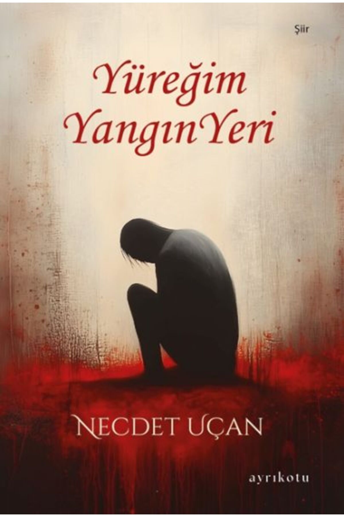 Ayrıkotu Yayınları Yüreğim Yangın Yeri
