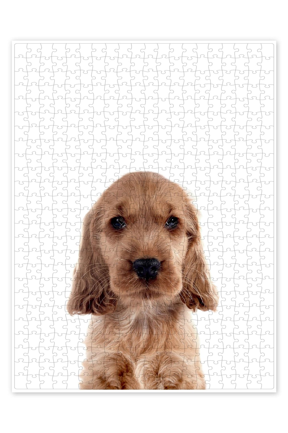 Jeronkarji Sevimli Cocker Spaniel 500 Parça Puzzle Yapboz Kedi Köpek Temalı Doğa ve Orman Hayvanları