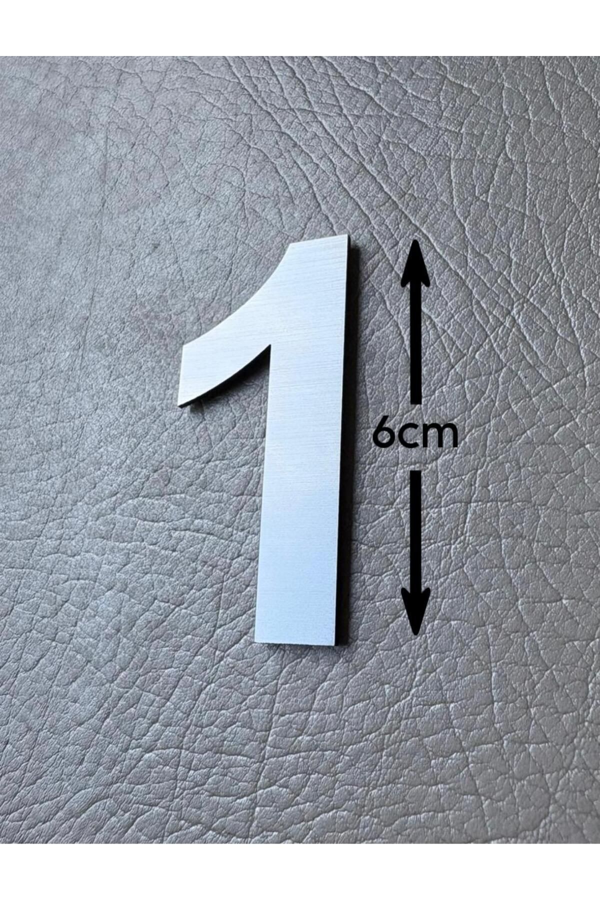 SE-Dizayn Kapı Numarası 6 CM No 1 Daire Masa Dolap Numarası Fırcalı Gümüş Kendinden Yapışkanlı
