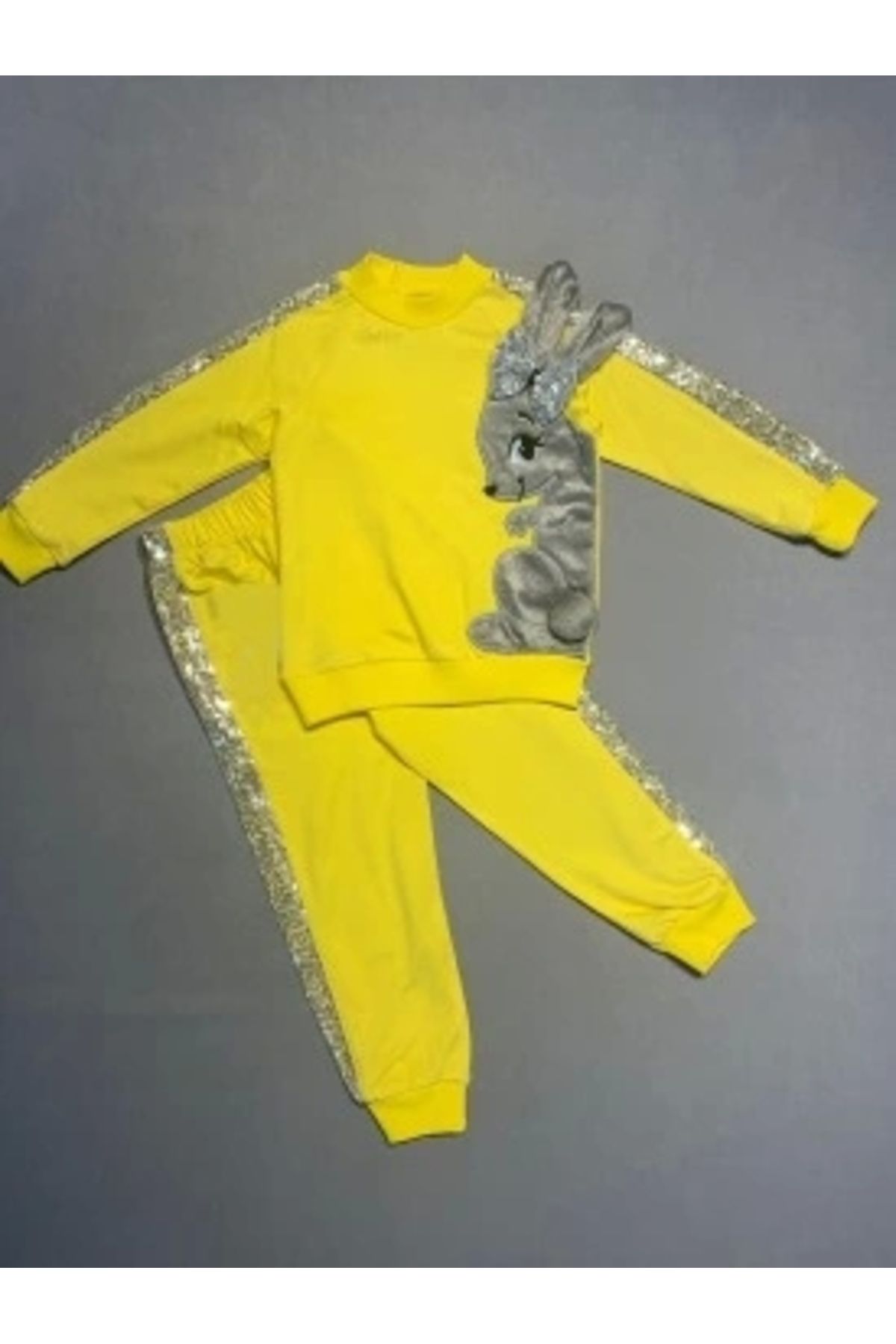 Diji Baby 1-2-3 Yaş Payetli Pelüş Tavşan Desenli Likra Penye Kumaş Sweat Pantolonlu Kız 2li Çocuk Takımı