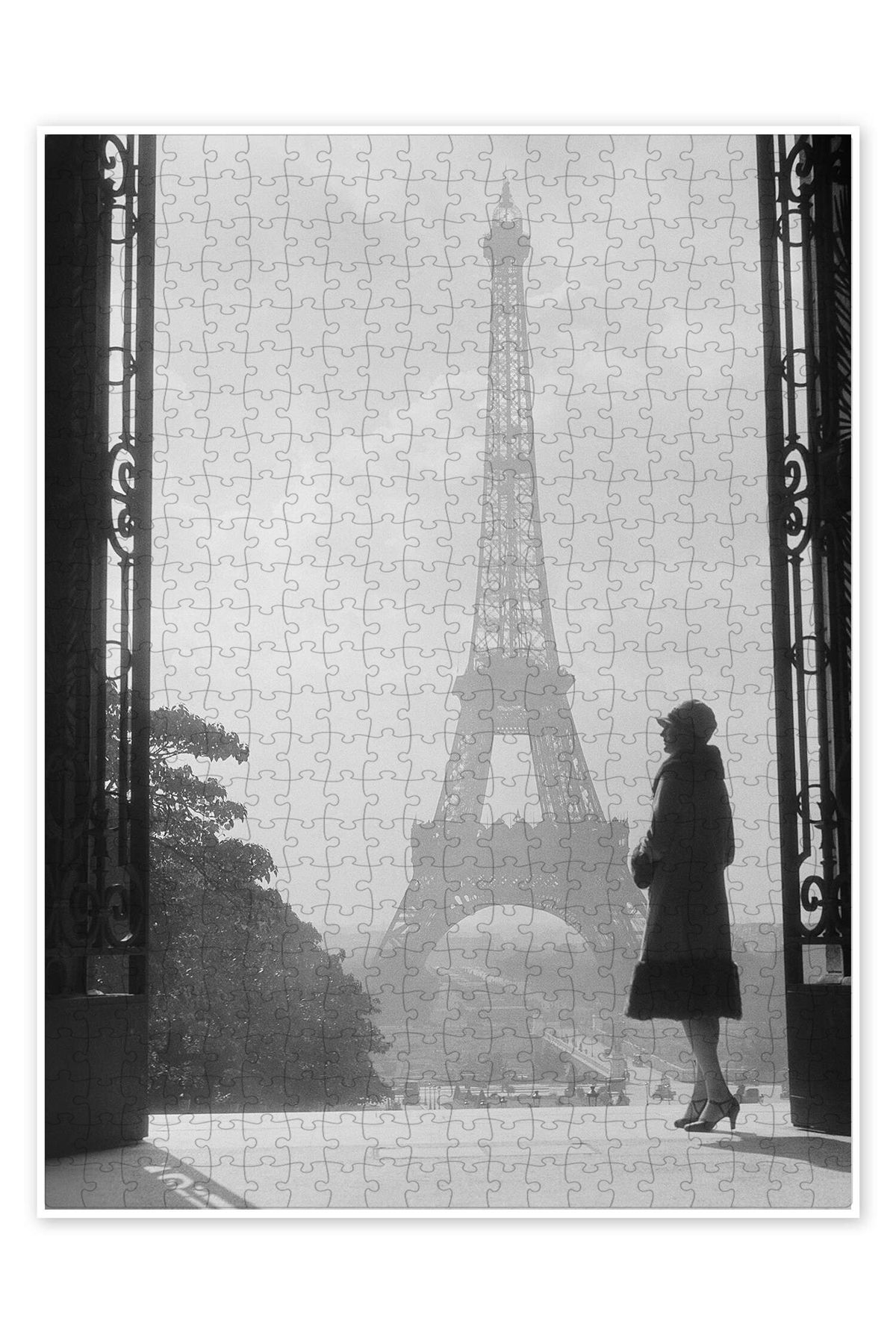 Jeronkarji Place du Trocadéro-et-du-11-Novembre 500 Parça Puzzle Yapboz Şehir Manzara Temalı Hobilik