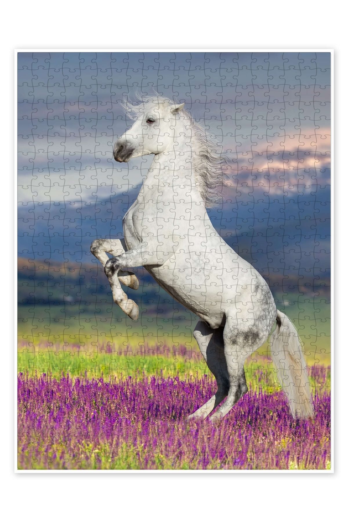 Jeronkarji Çiçek Çayırında Lipizzan 500 Parça Puzzle Yapboz Kedi Köpek Temalı Doğa ve Orman Hayvanları