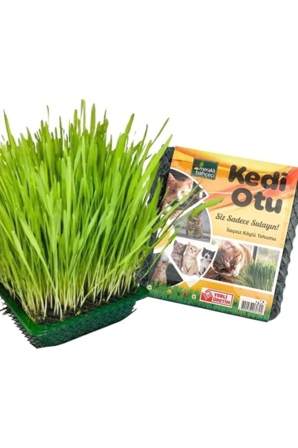 ShopZum Meraklı Bahçeci Kedi Çimi - Kedi Sindirim Sistemini Rahatlatıcı Sağlıklı Kedi Otu