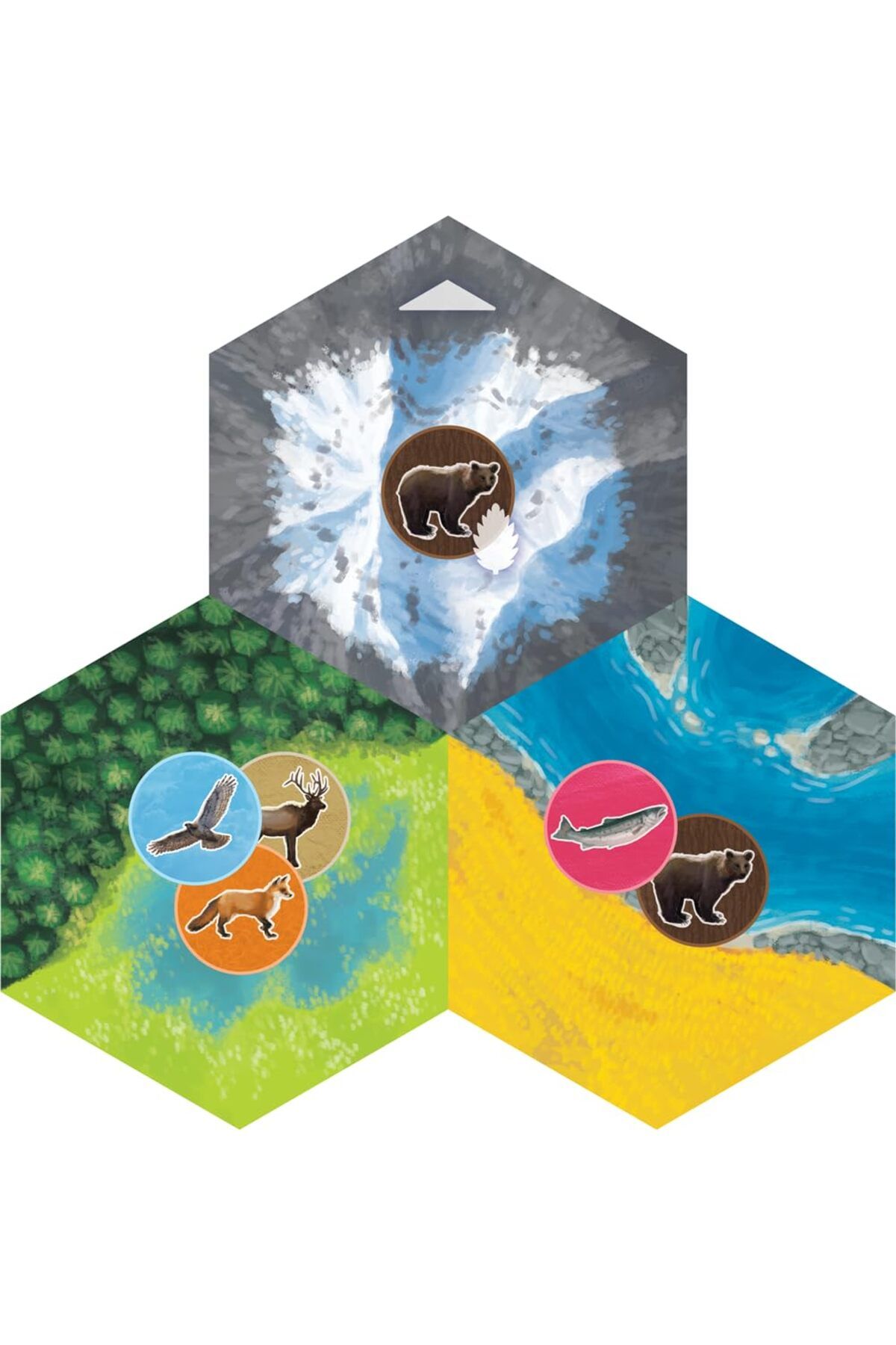 AEG-Flatout Games | Cascadia - Award-Winning Board Game Set in the Pacific Northwest | Easy to Learn 3
