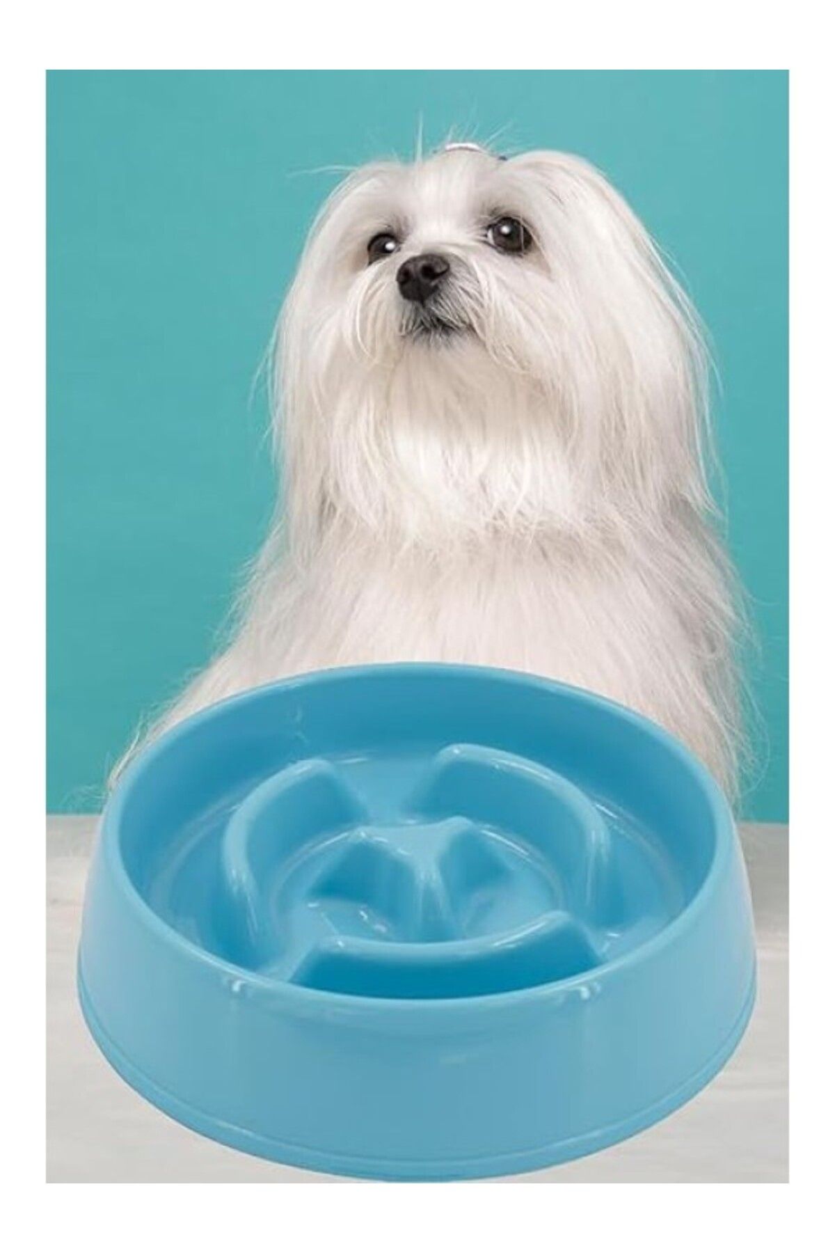 ShopZum Mobee Evcil Hayvan Yavaş Mama Yeme Kabı Yavaş Besleyici Kedi Köpek Mama Kabı Büyük Boy 775 Ml. 1450