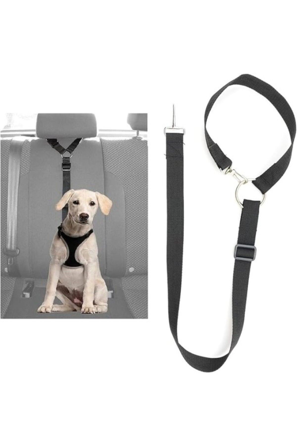ShopZum Ankanorm Kedi Ve Köpek Araç Emniyet Kemeri Tasması Içi Yavru Evcil Hayvan Tasmaları Araba Kemer