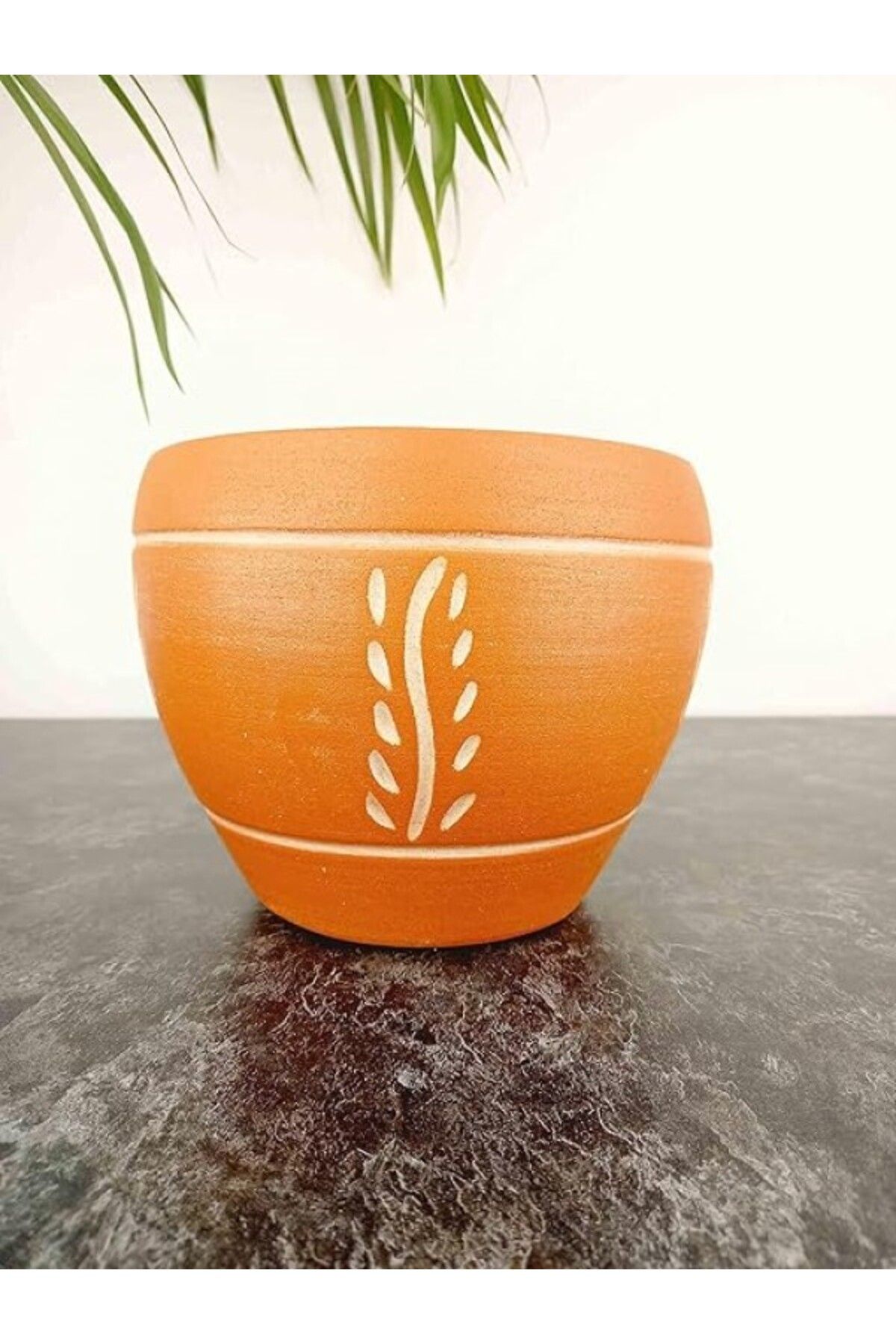ShopZum Bitkitasarımı Bitki Tasarimi Doğal Beyaz Nakiş Desen Terrakota Toprak Saksi 15 Cm