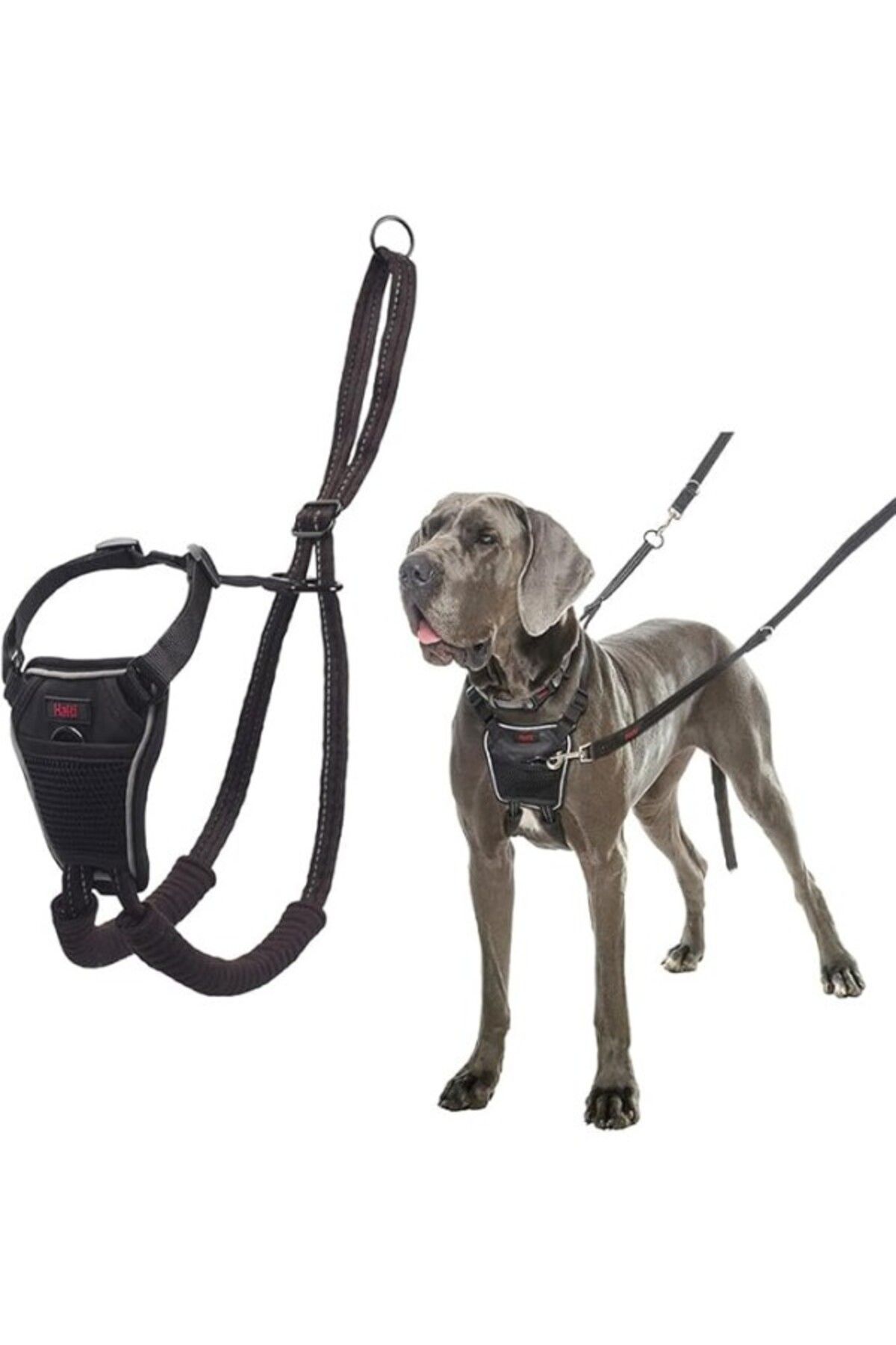 ShopZum Company Of Animals Halti Köpek Çekme Önleyici Göğüs Tasması, Büyük Boy