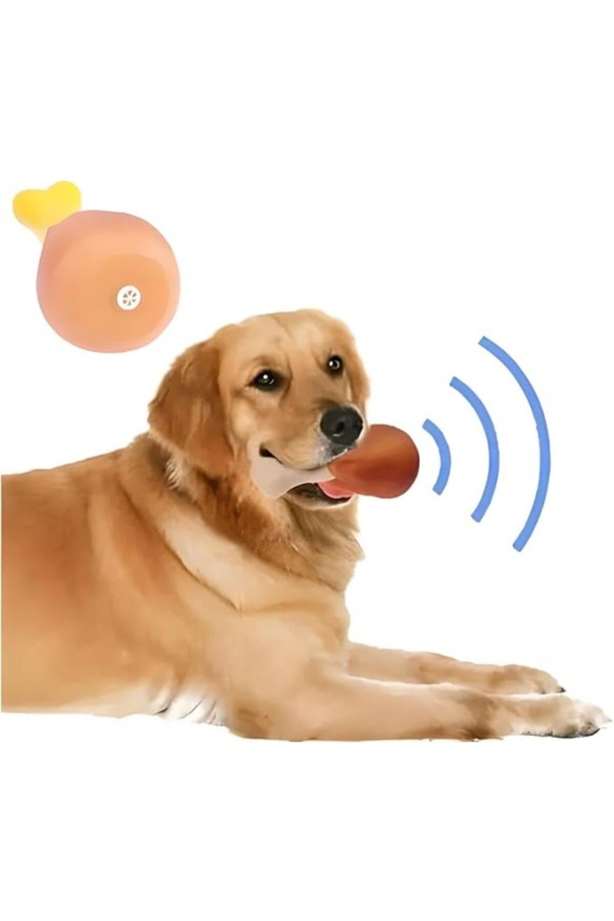 ShopZum Aee® Köpekler İçin Sesli Oyuncak Tavuk Butu Dayanıklı Sesli Köpek Oyuncağı Büyük 14,5Cm
