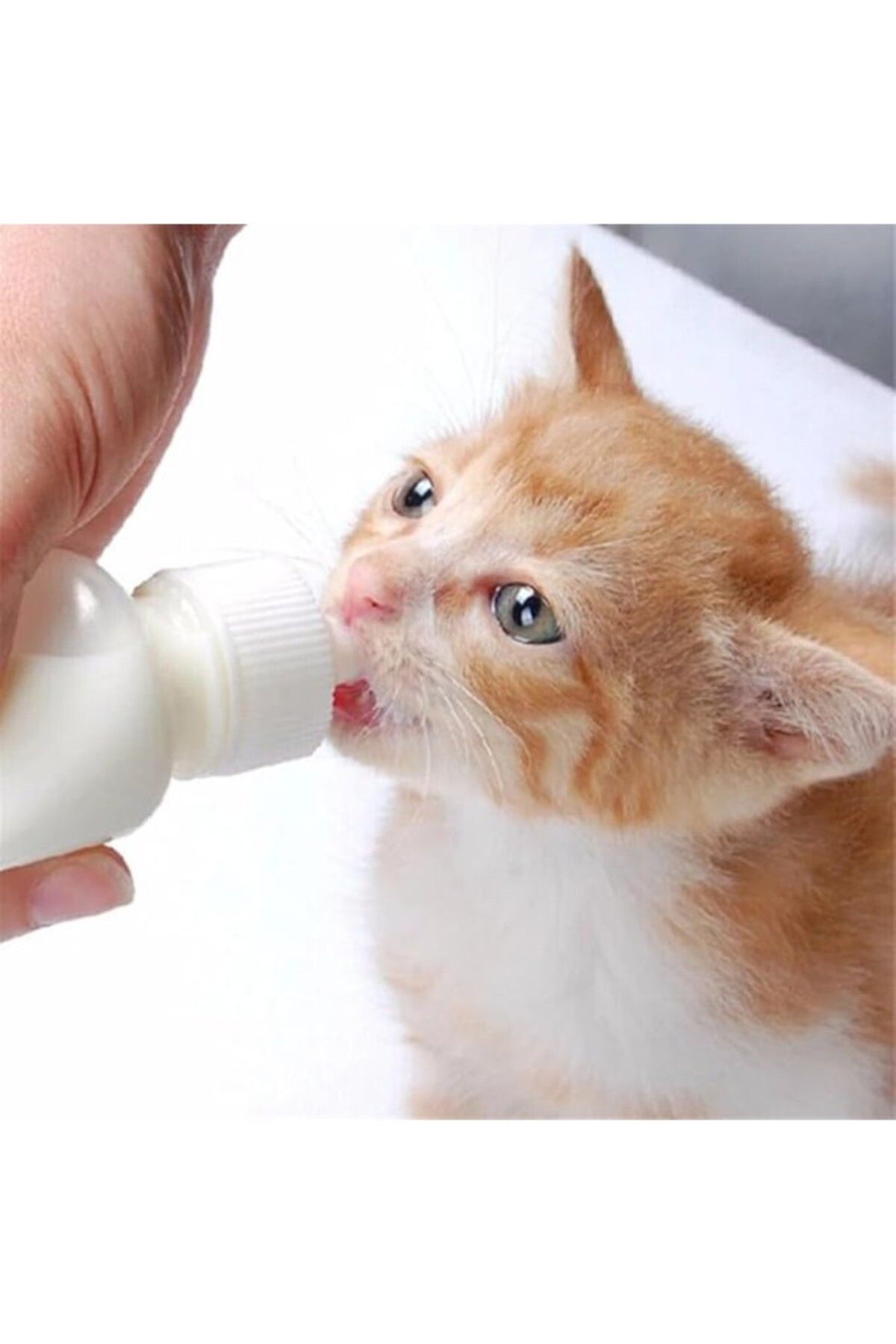 ShopZum Tineke Yavru Kedi Köpek Biberonu 2 Emzikli 50 ml (1 ADET)