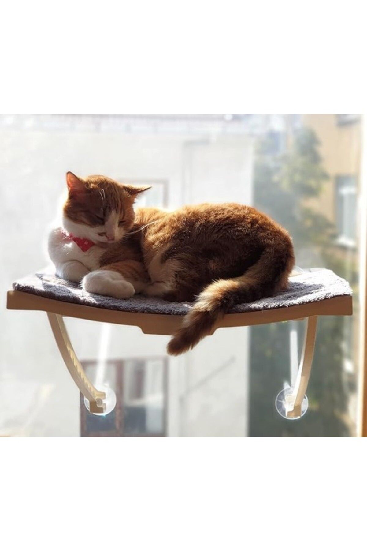 ShopZum Ata Home Yeni Dizayn Lüx Cam Ve Duvar Için Kedi Yatağı Vantuzlu