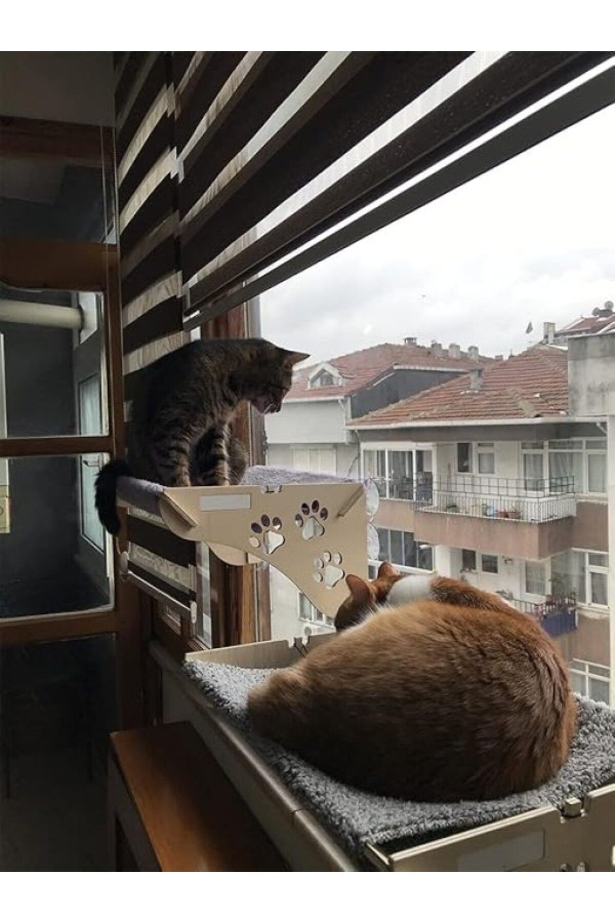 ShopZum Ata Home Büyük Boy Ahşap Cama Yapışan Yatağı Vantuzlu