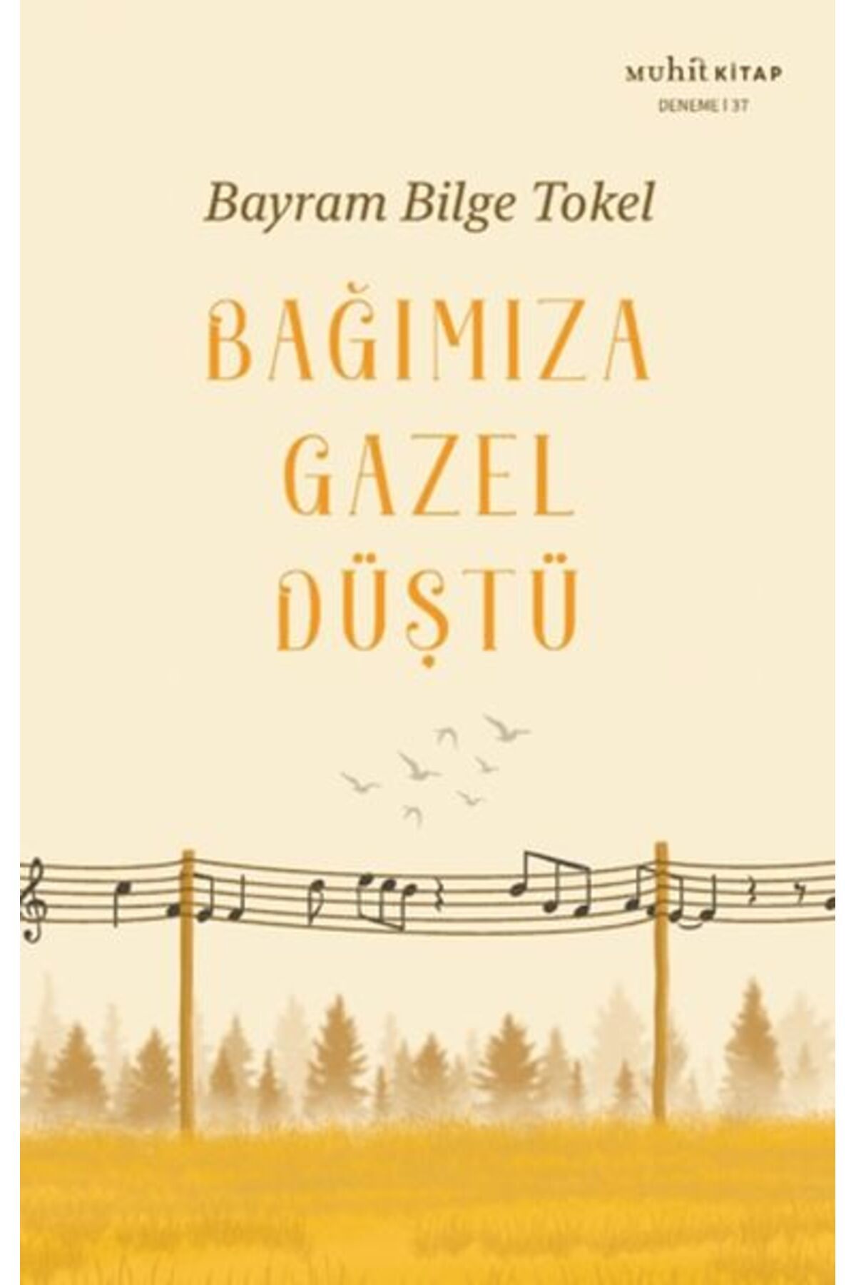 Muhit Kitap Bağımıza Gazel Düştü