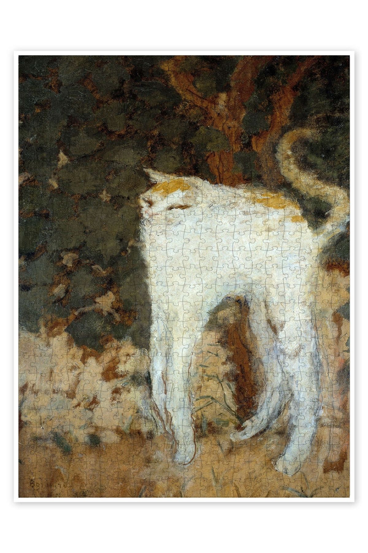 Jeronkarji Beyaz Kedi, 1894 500 Parça Puzzle Yapboz Kedi Köpek Temalı Doğa ve Orman Hayvanları