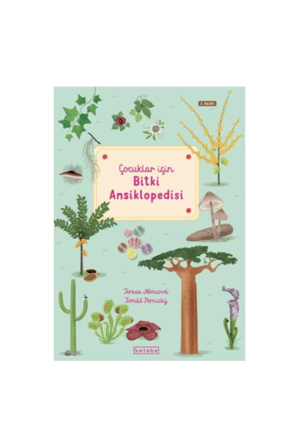 KETEBE ÇOCUK Çocuklar İçin Bitki Ansiklopedisi (Ciltli)