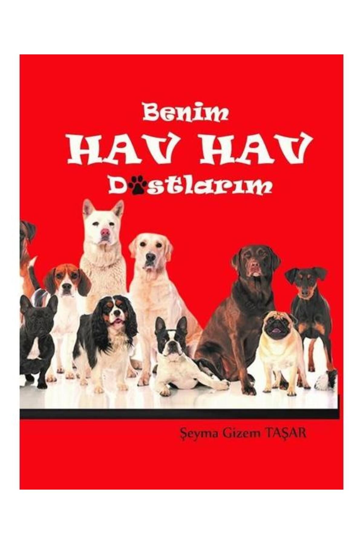 BFG Yayıncılık Benim Hav Hav Dostlarım